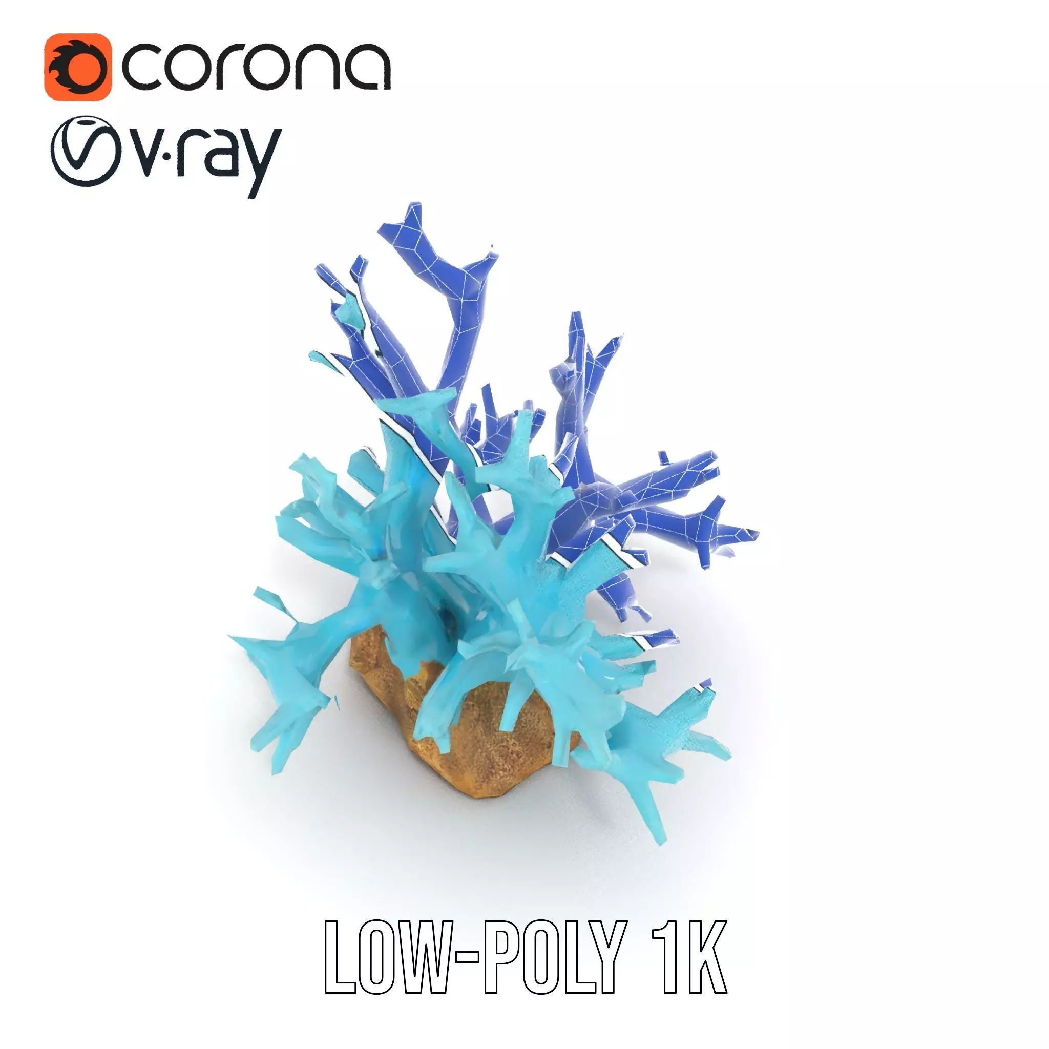 Turquoise Coral model pack Low-poly 3D model_19