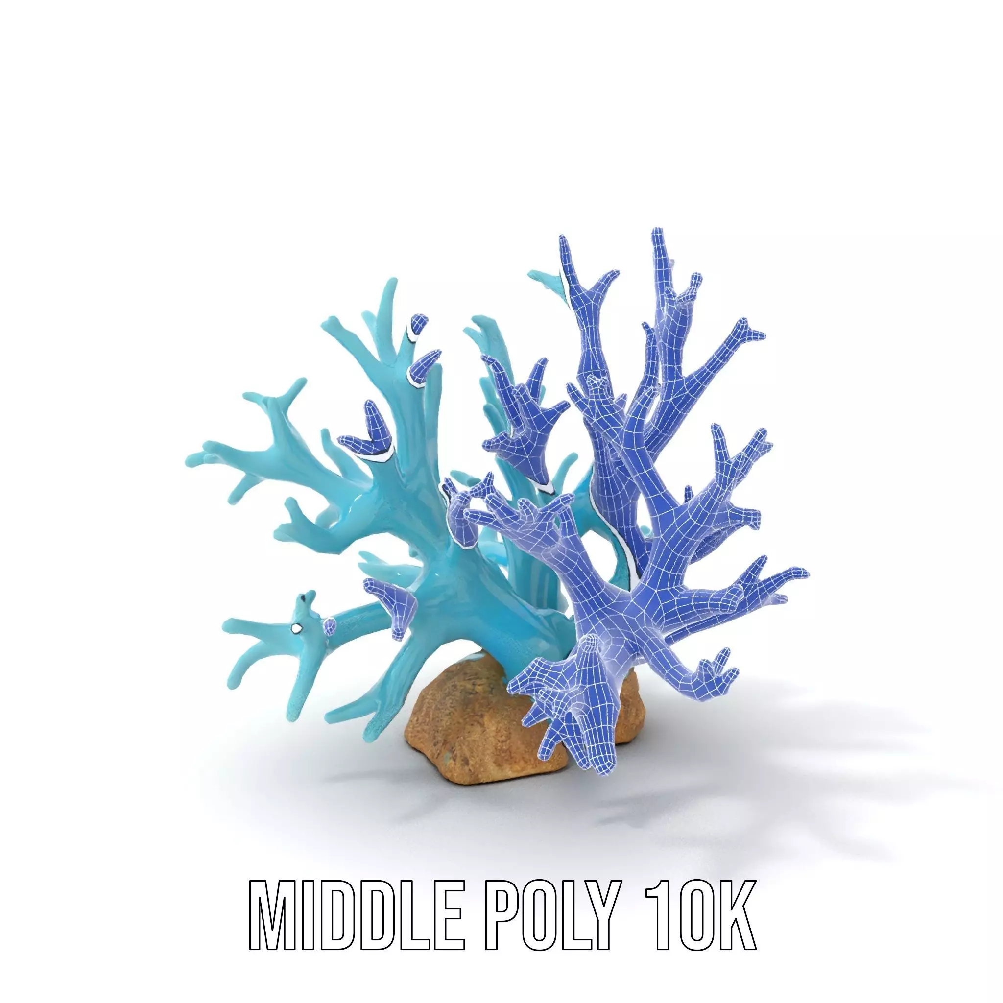Turquoise Coral model pack Low-poly 3D model_6