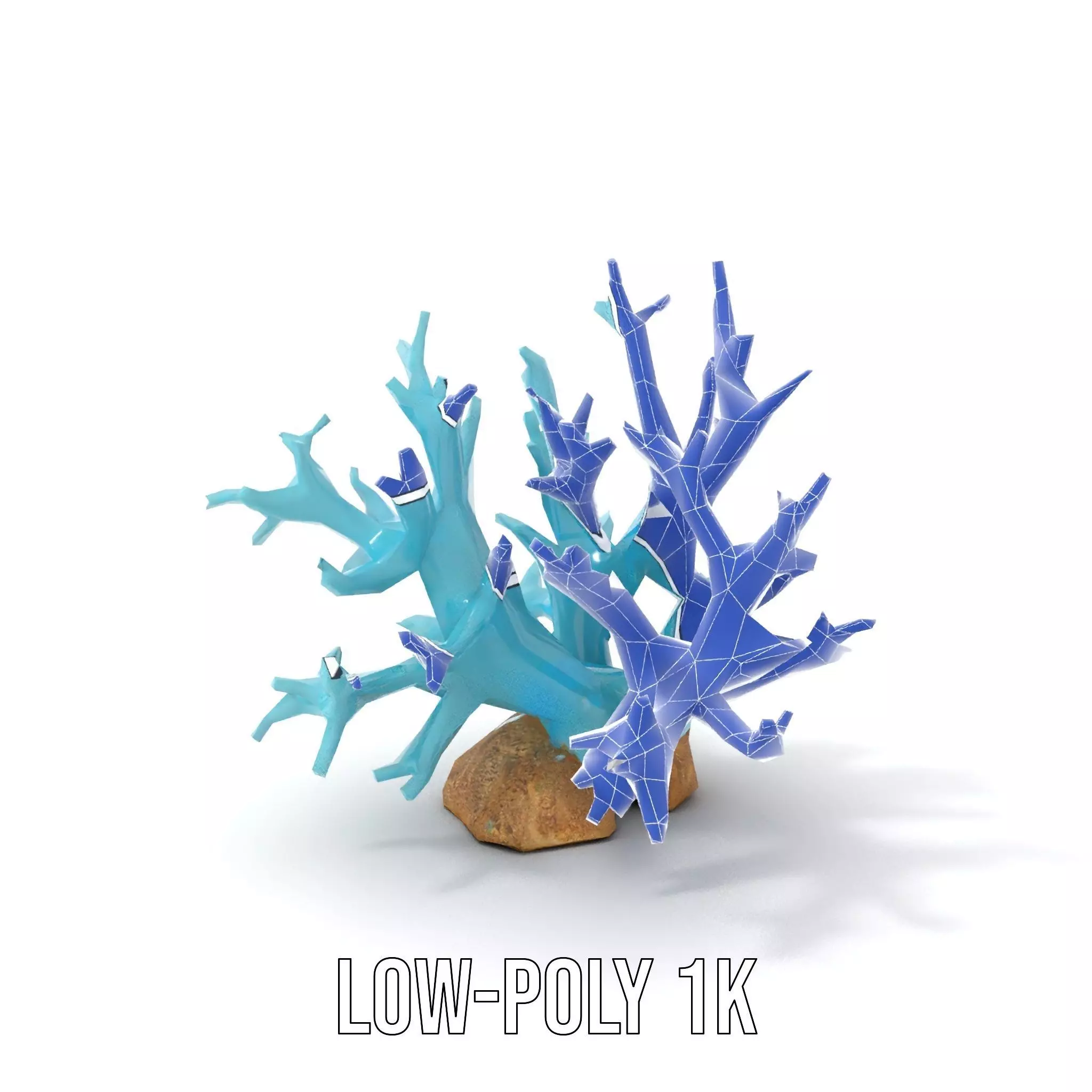 Turquoise Coral model pack Low-poly 3D model_14