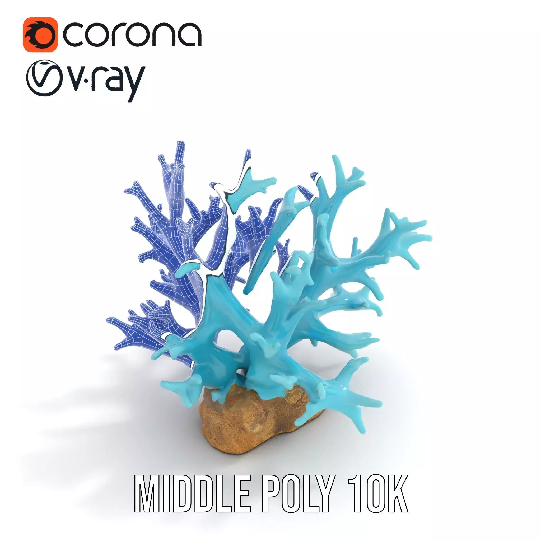 Turquoise Coral model pack Low-poly 3D model_11