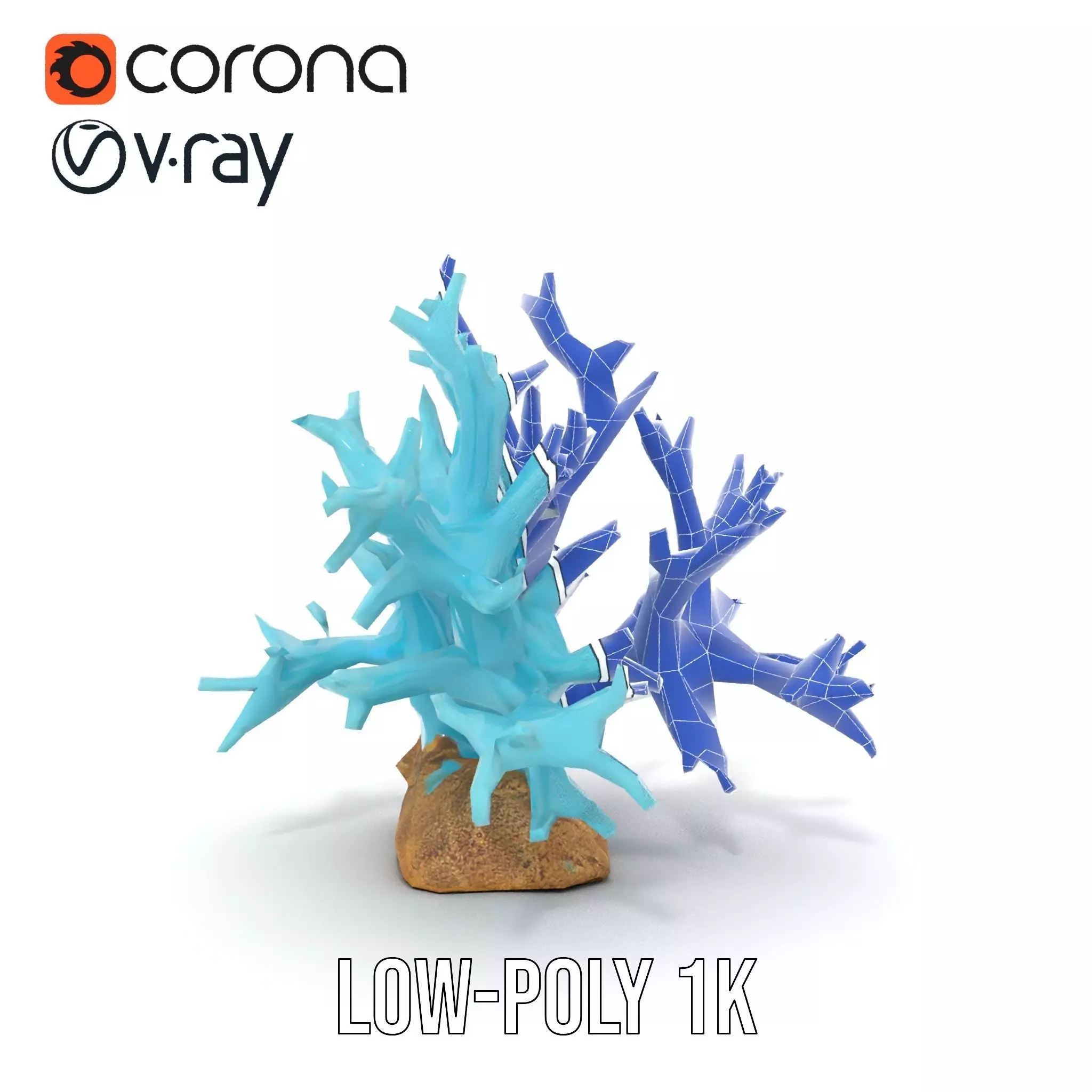 Turquoise Coral model pack Low-poly 3D model_24