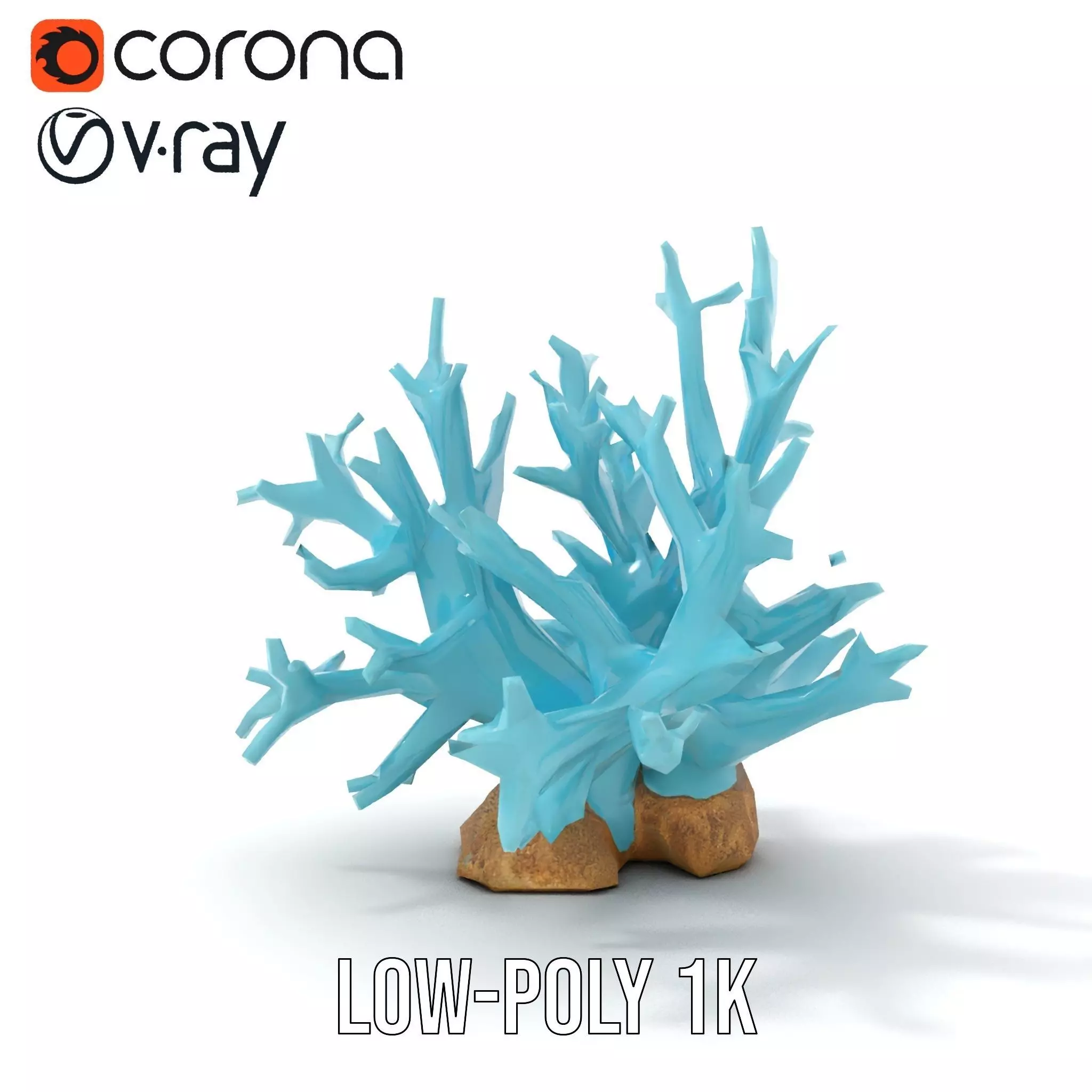 Turquoise Coral model pack Low-poly 3D model_9