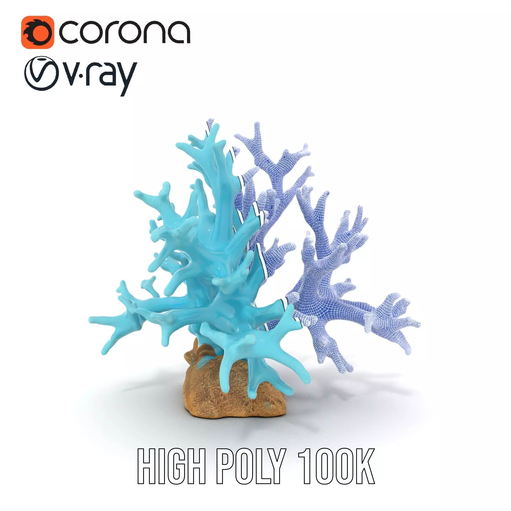 Turquoise Coral model pack Low-poly 3D model_34