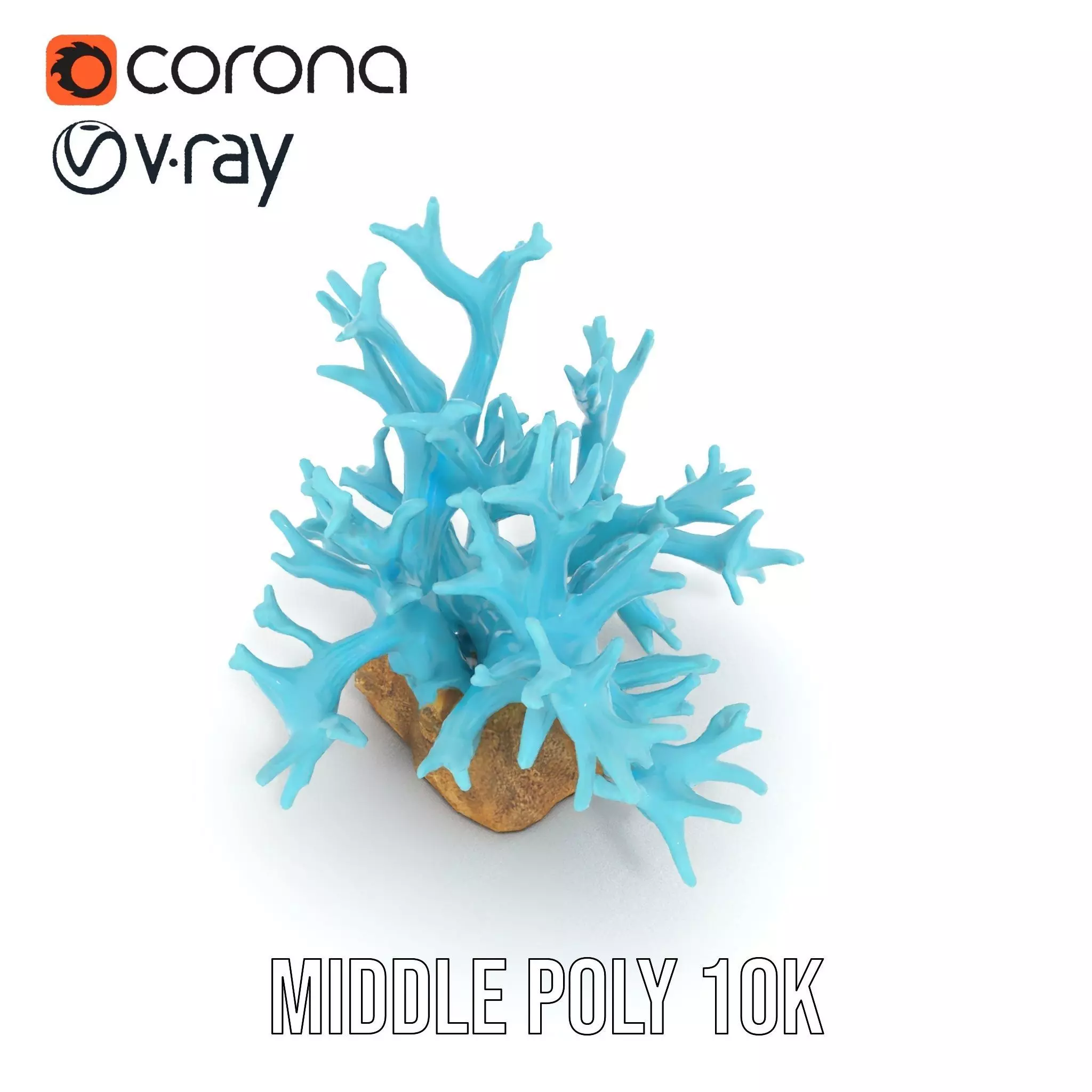 Turquoise Coral model pack Low-poly 3D model_18