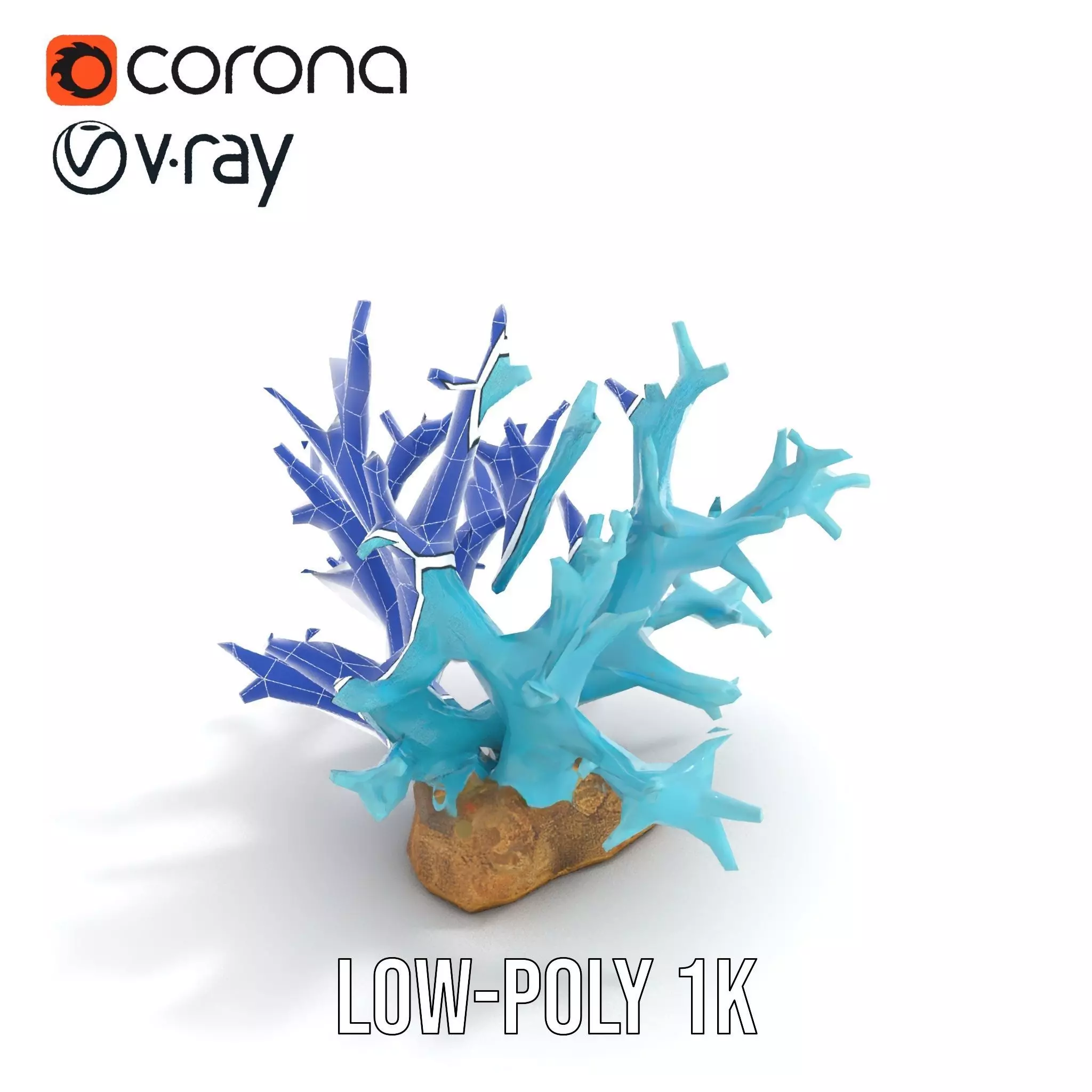 Turquoise Coral model pack Low-poly 3D model_21