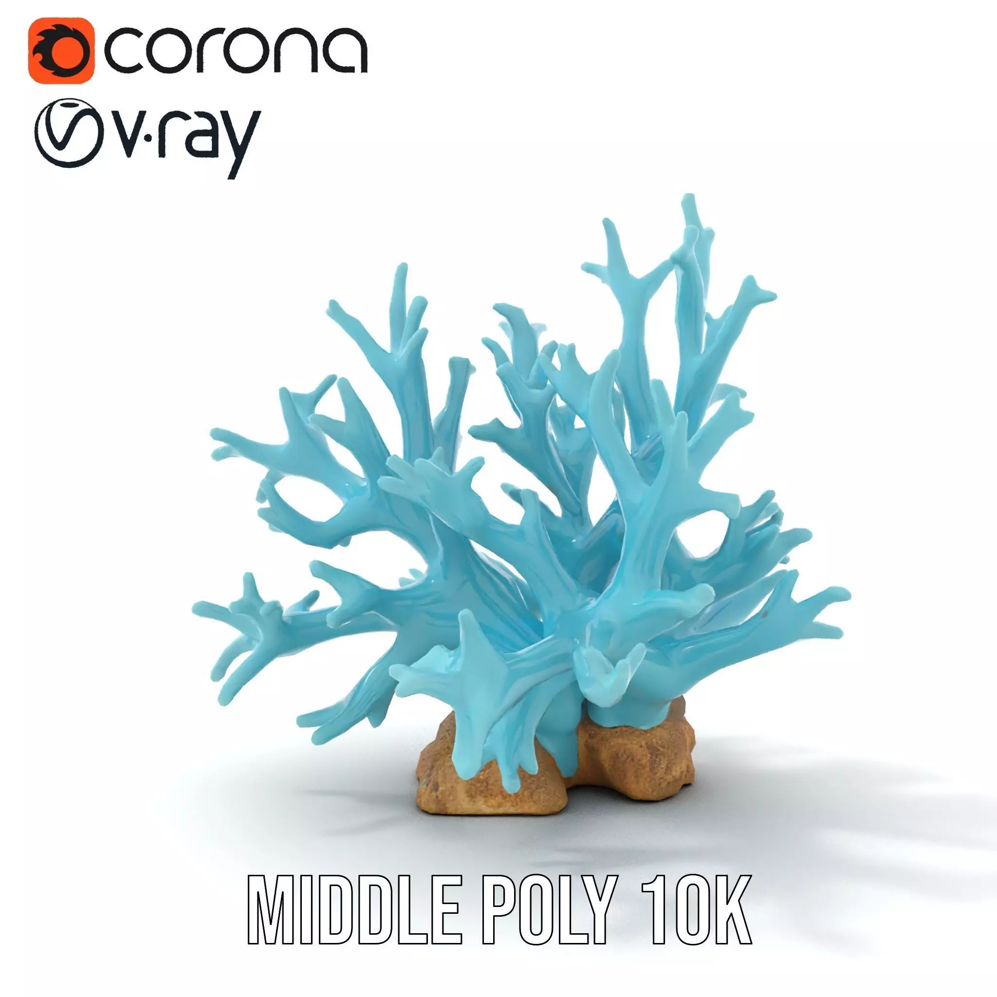 Turquoise Coral model pack Low-poly 3D model_13