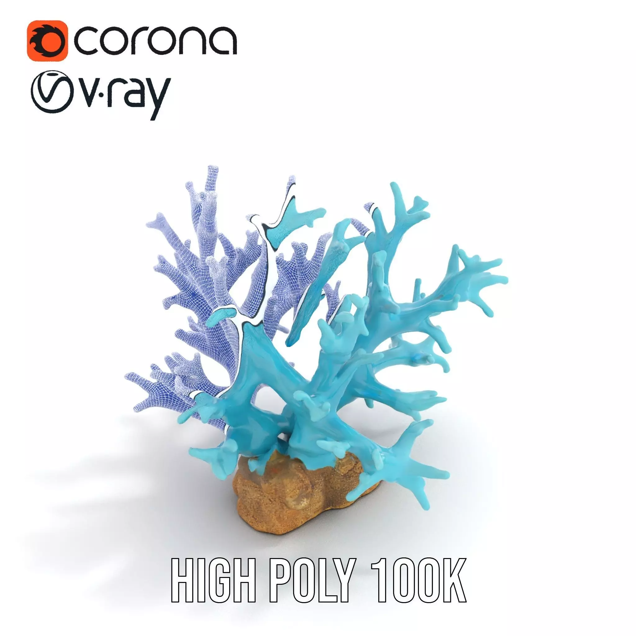 Turquoise Coral model pack Low-poly 3D model_31