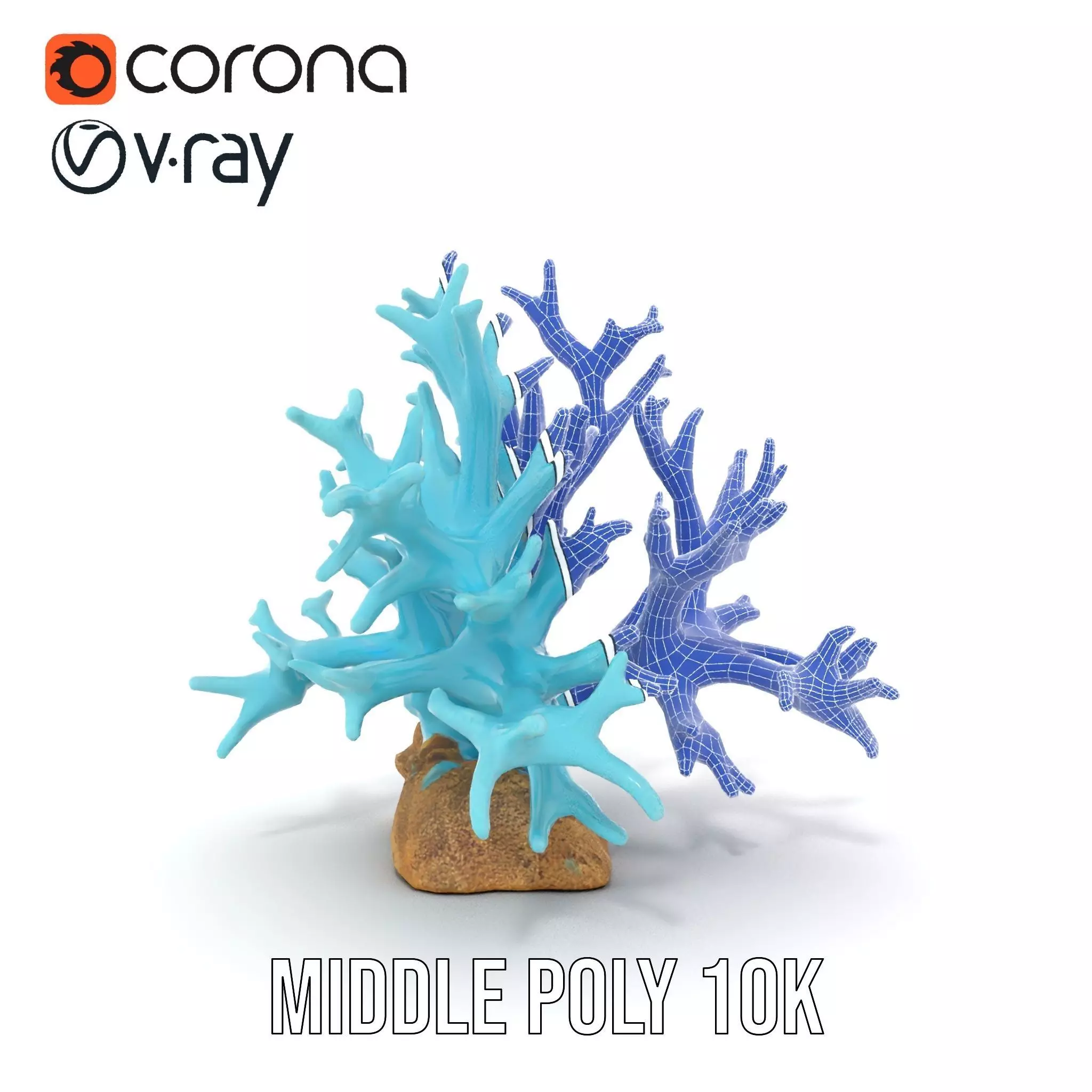 Turquoise Coral model pack Low-poly 3D model_29