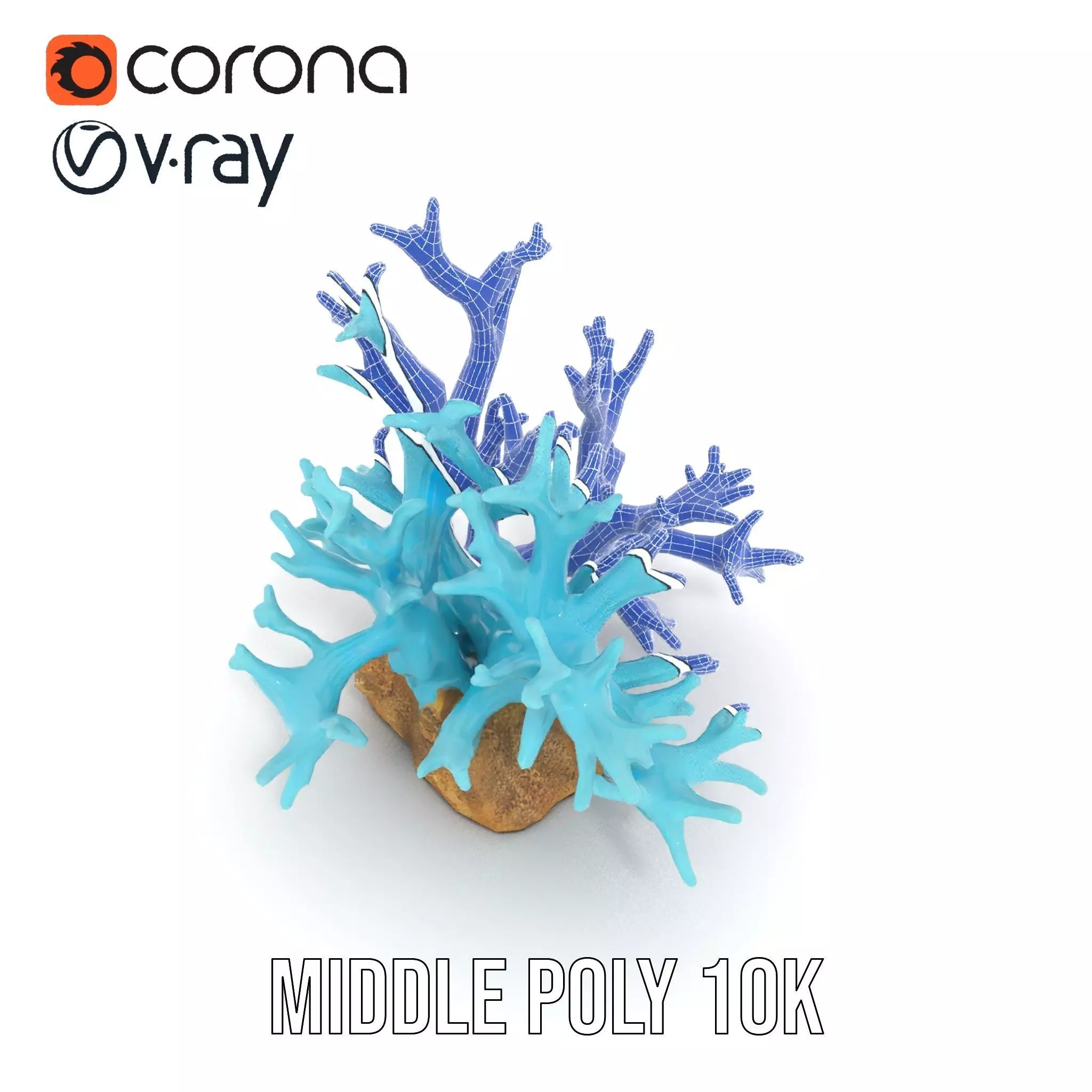 Turquoise Coral model pack Low-poly 3D model_15