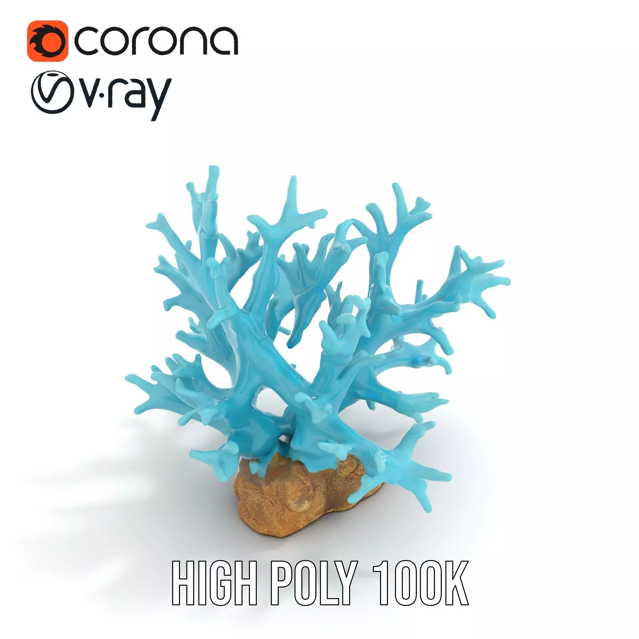 Turquoise Coral model pack Low-poly 3D model_17
