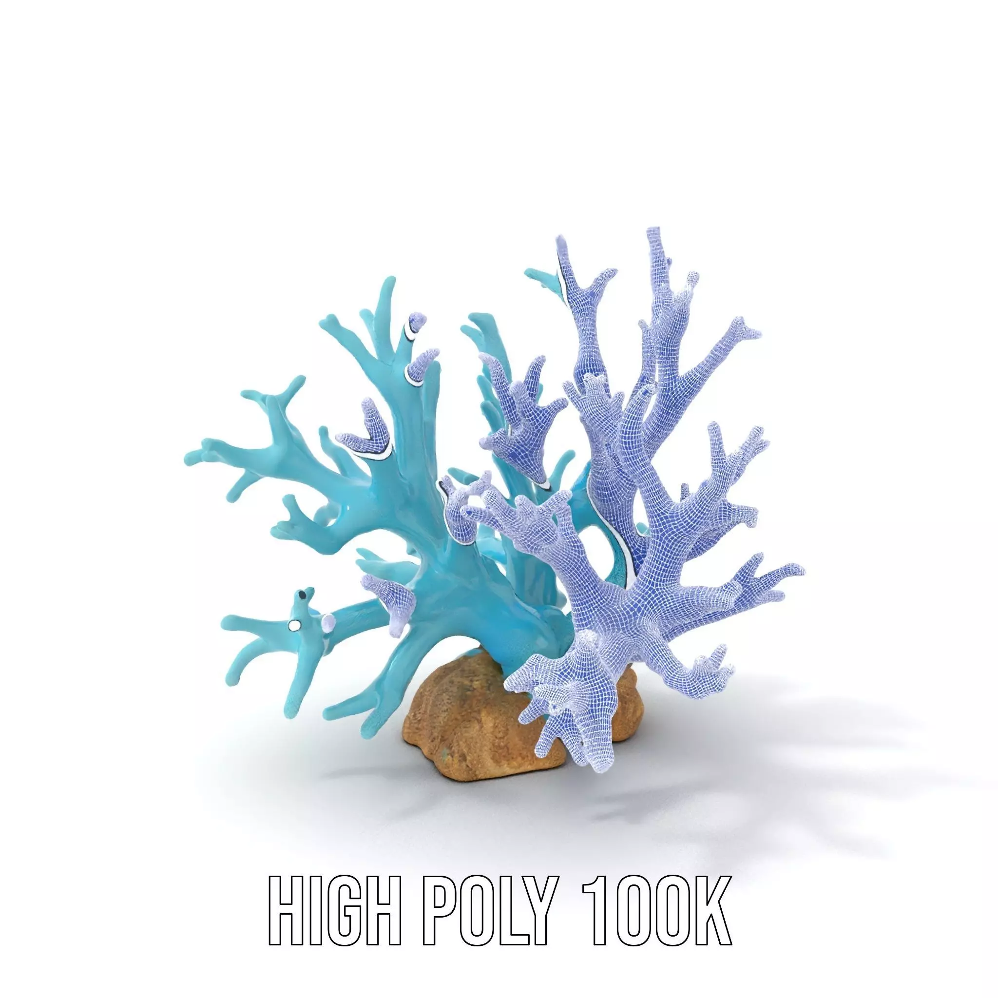 Turquoise Coral model pack Low-poly 3D model_4