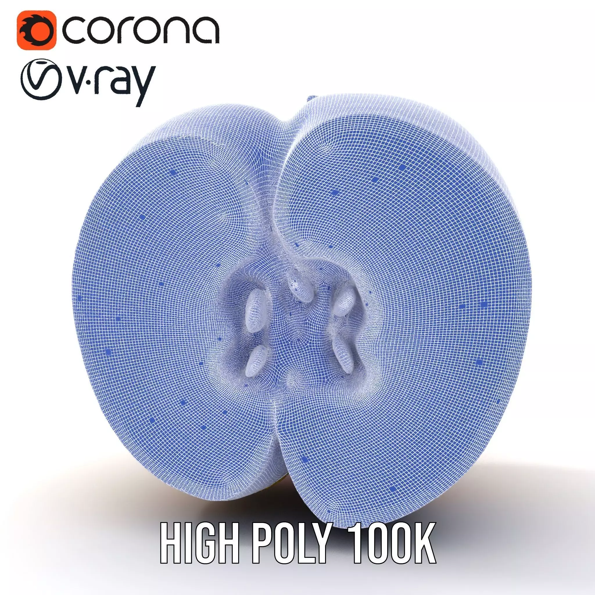 Red Apple Sliced model pack Low-poly 3D model_32