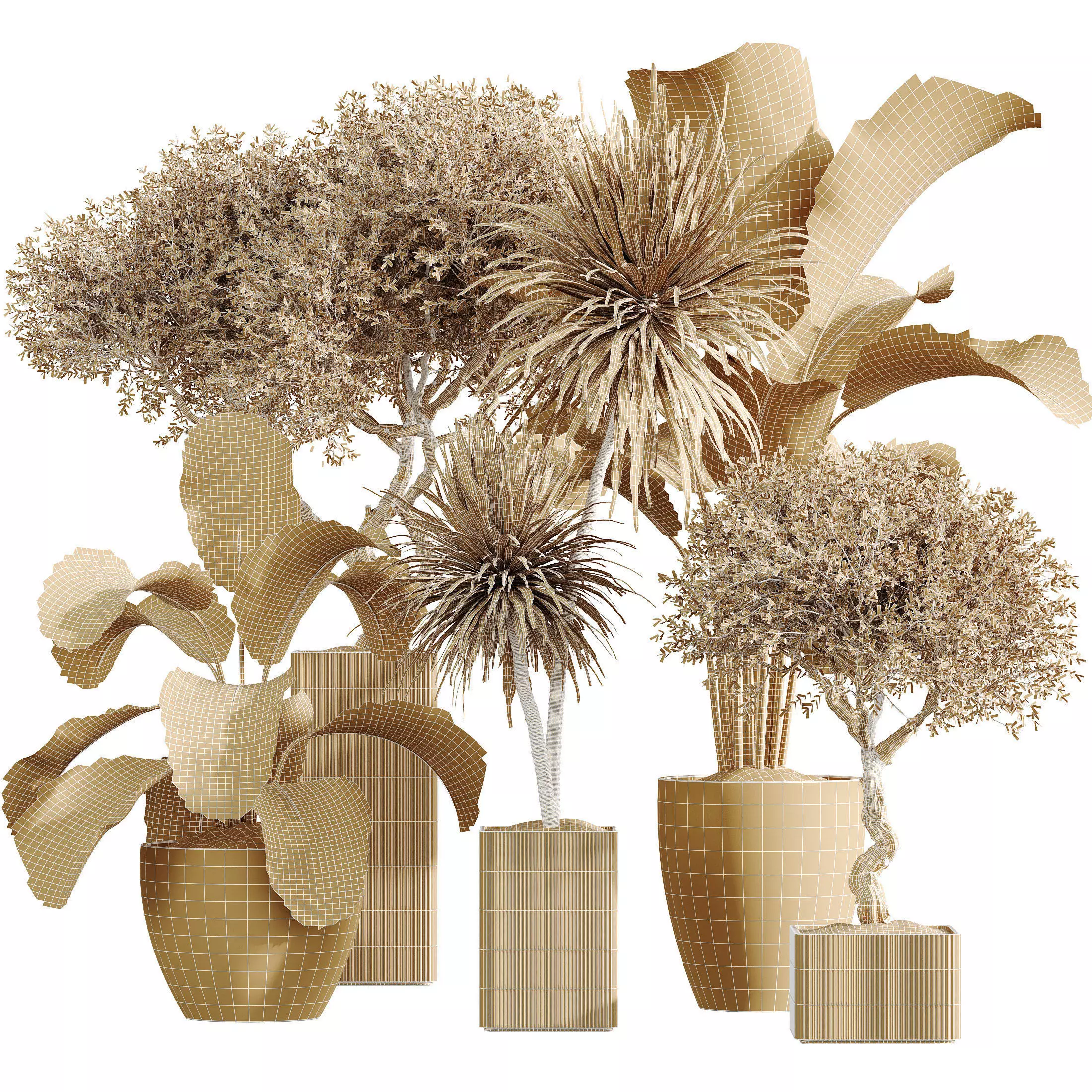 AV Indoor Plants Set 327 Olive Yucca Palm Lutea Cuban 3D model_8