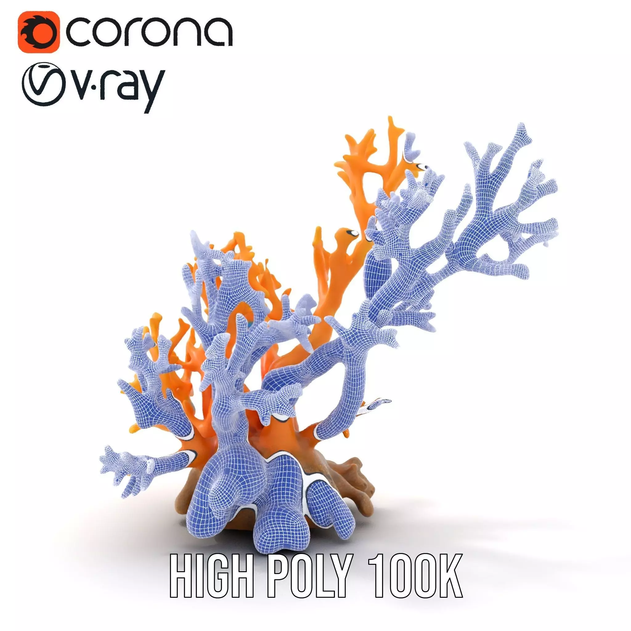 Vivid Coral Reef model pack Low-poly 3D model_31
