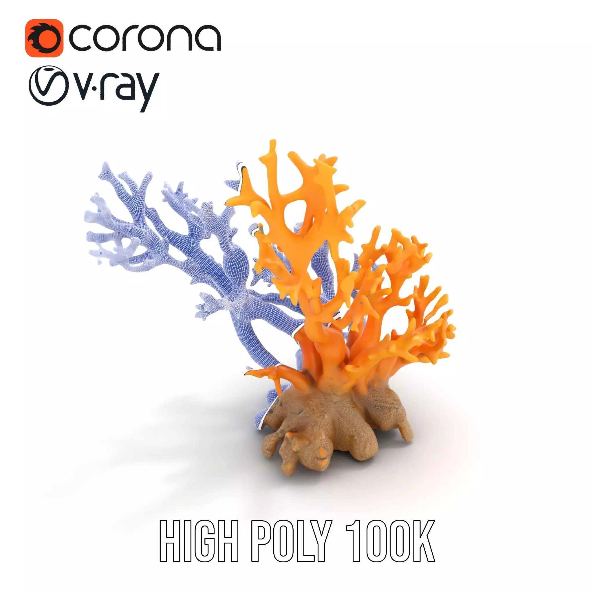 Vivid Coral Reef model pack Low-poly 3D model_32