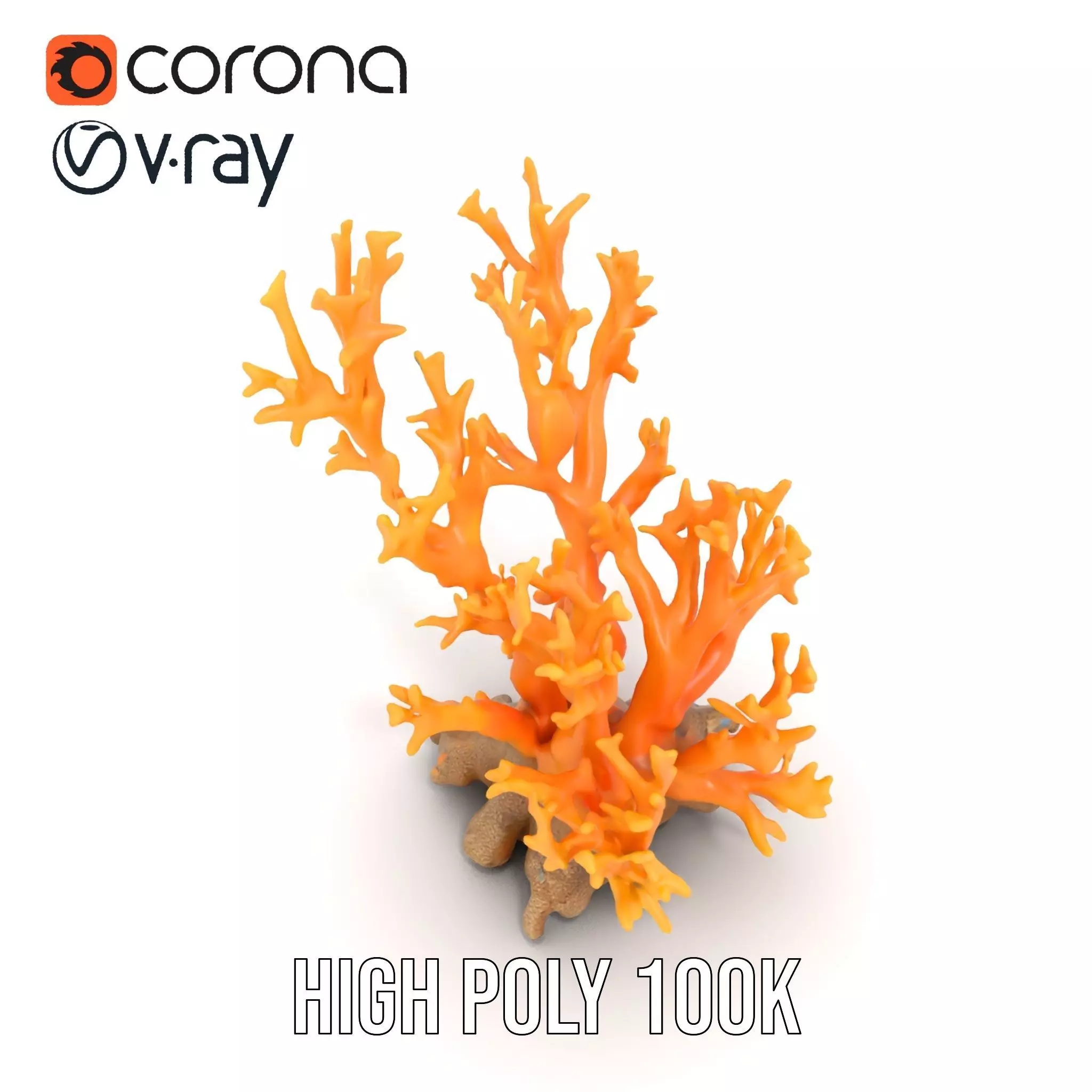 Vivid Coral Reef model pack Low-poly 3D model_23