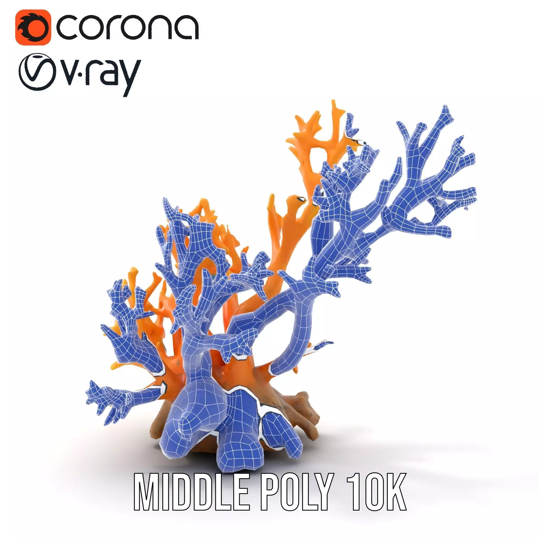 Vivid Coral Reef model pack Low-poly 3D model_18