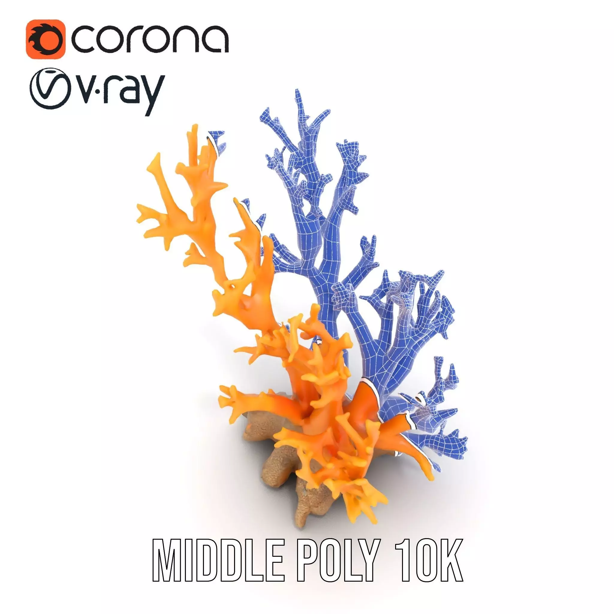 Vivid Coral Reef model pack Low-poly 3D model_24