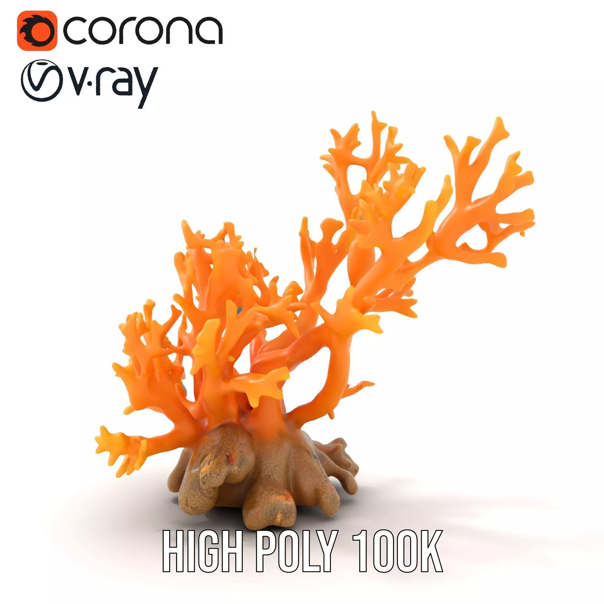 Vivid Coral Reef model pack Low-poly 3D model_20
