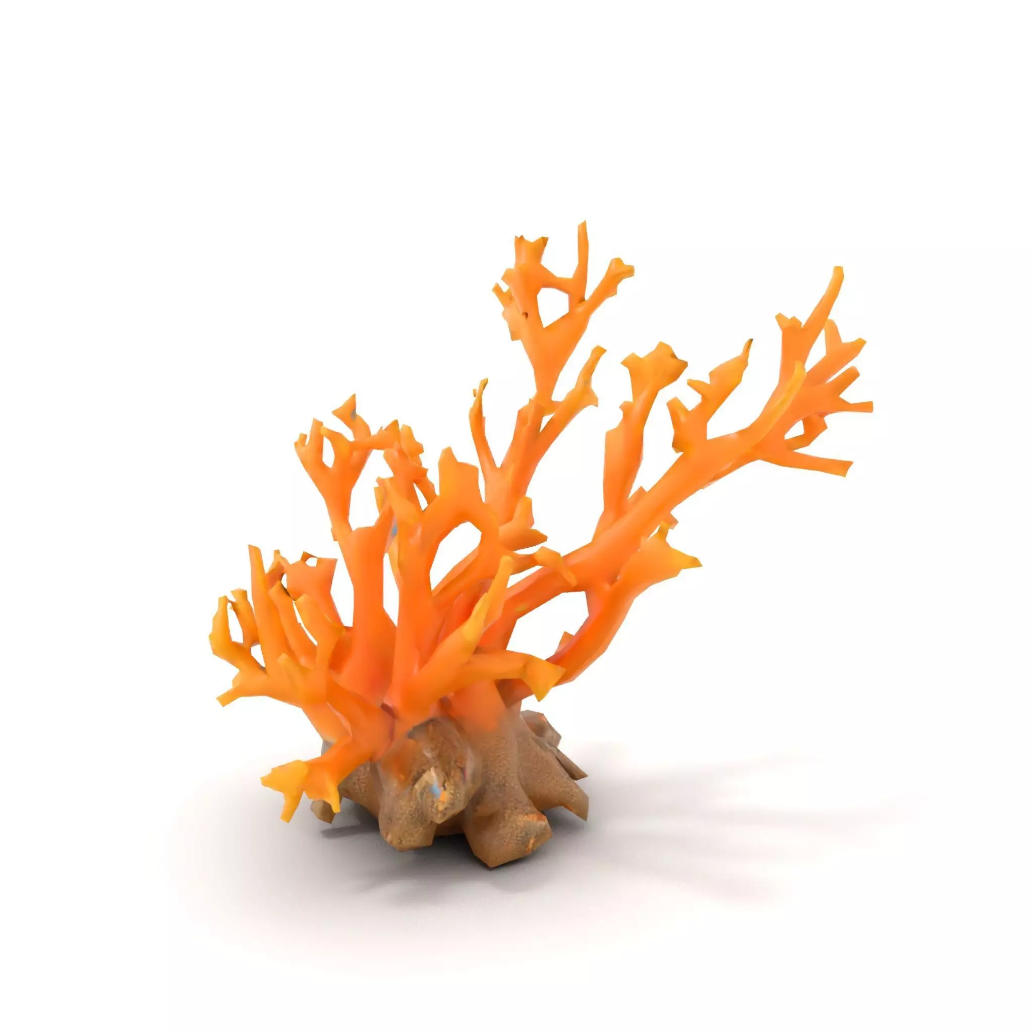 Vivid Coral Reef model pack Low-poly 3D model_7