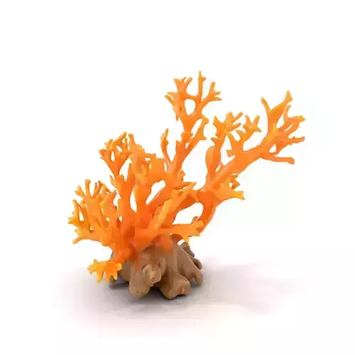 Vivid Coral Reef model pack