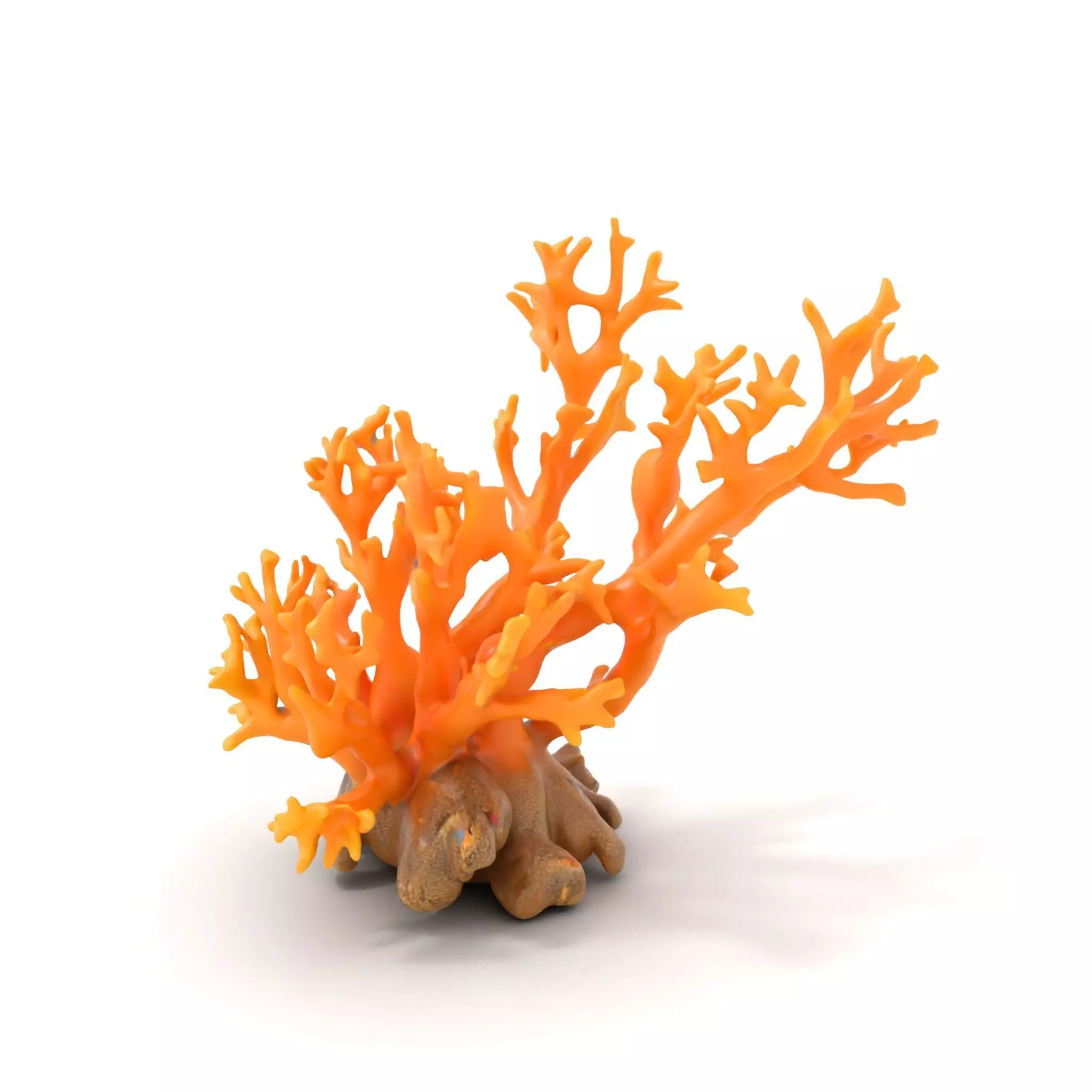 Vivid Coral Reef model pack Low-poly 3D model_0