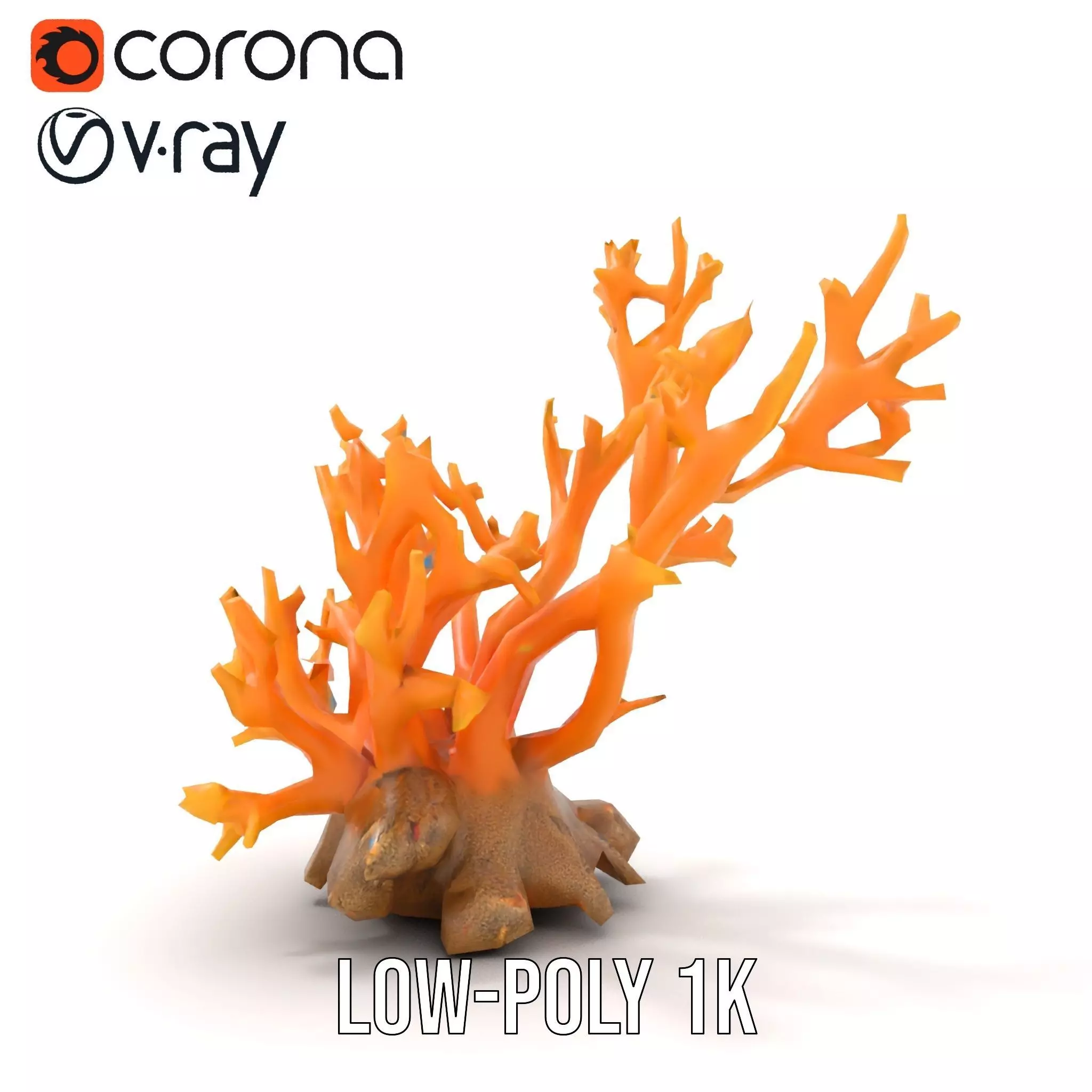 Vivid Coral Reef model pack Low-poly 3D model_14