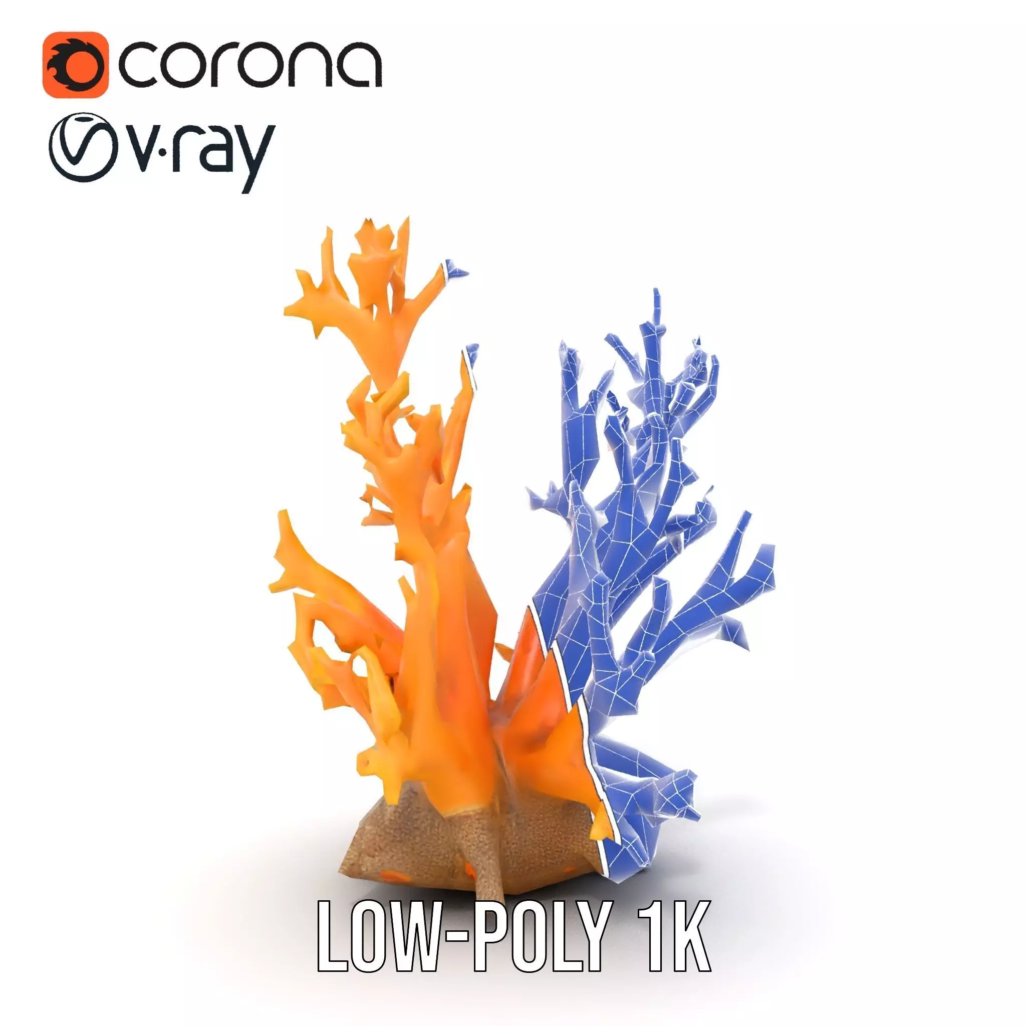 Vivid Coral Reef model pack Low-poly 3D model_27