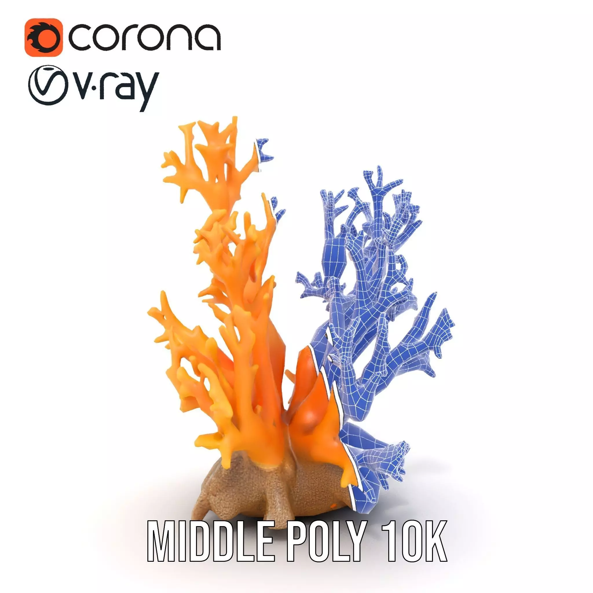 Vivid Coral Reef model pack Low-poly 3D model_16