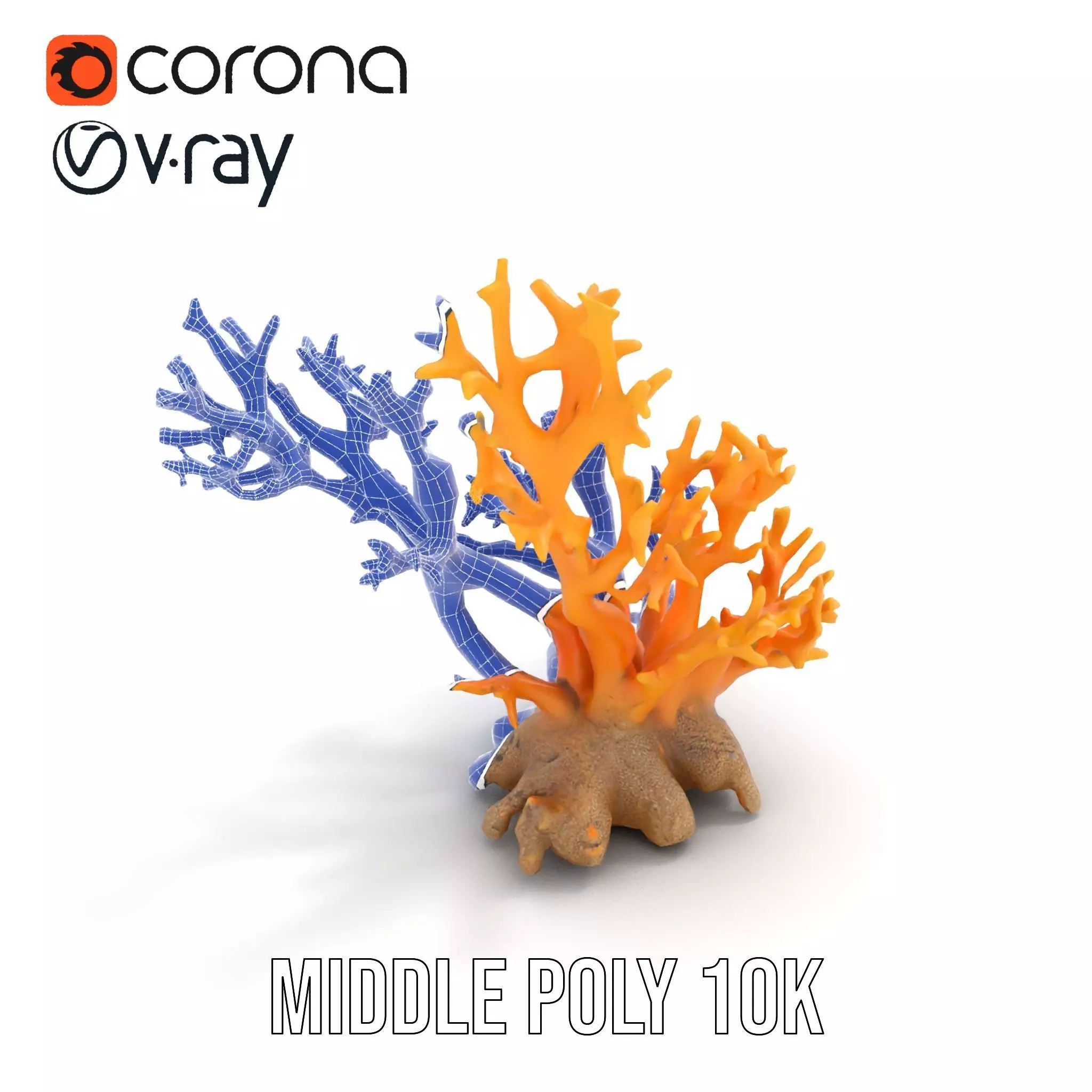 Vivid Coral Reef model pack Low-poly 3D model_29