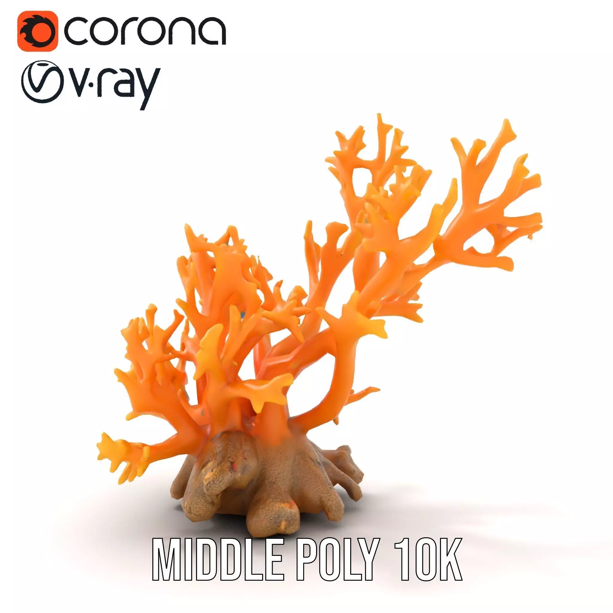 Vivid Coral Reef model pack Low-poly 3D model_21