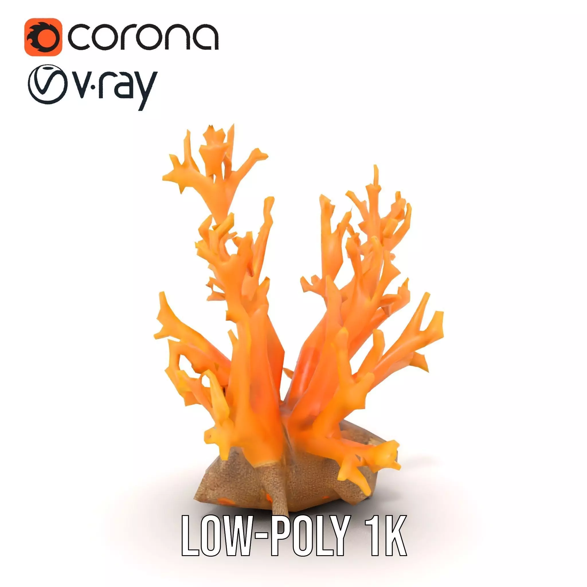 Vivid Coral Reef model pack Low-poly 3D model_17