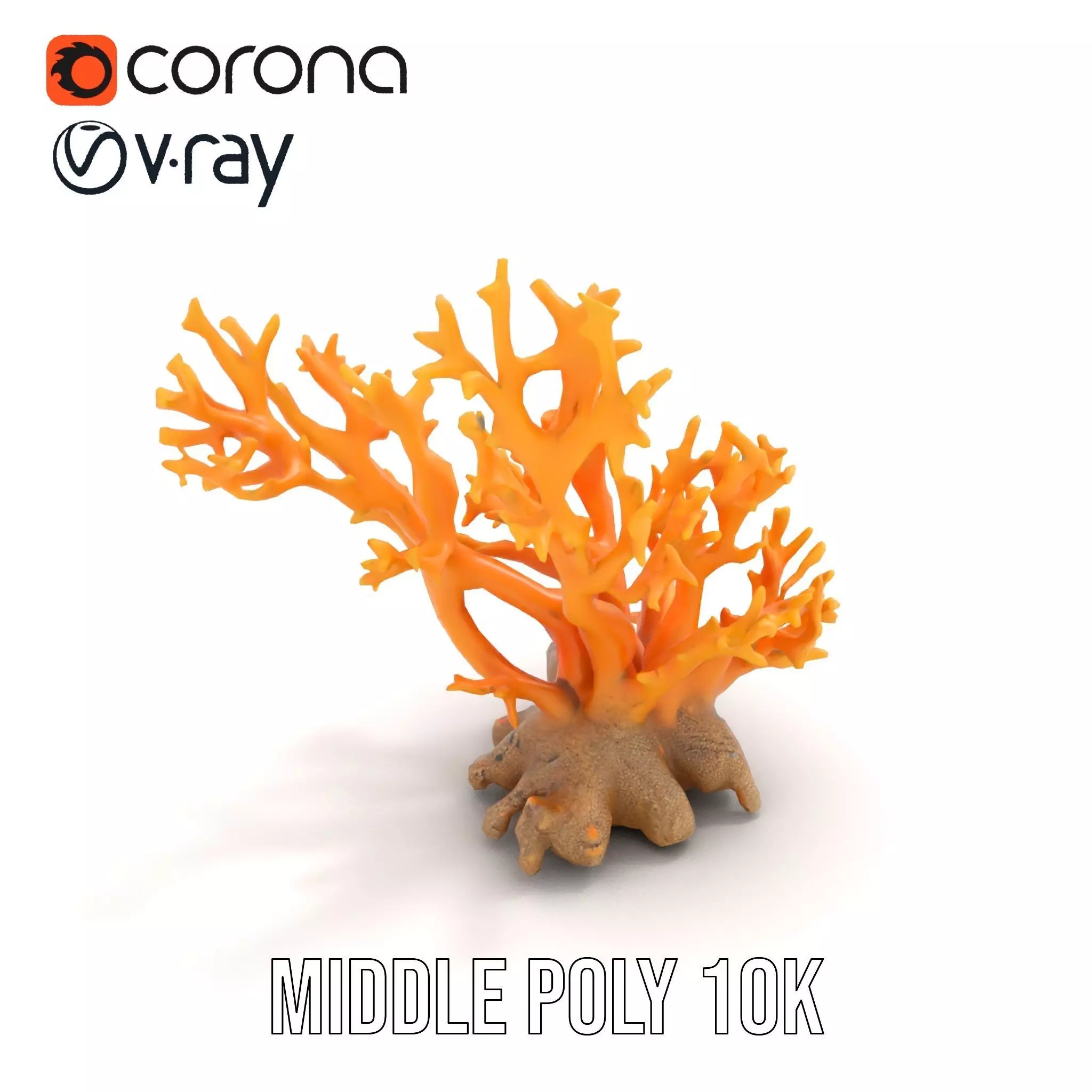 Vivid Coral Reef model pack Low-poly 3D model_11