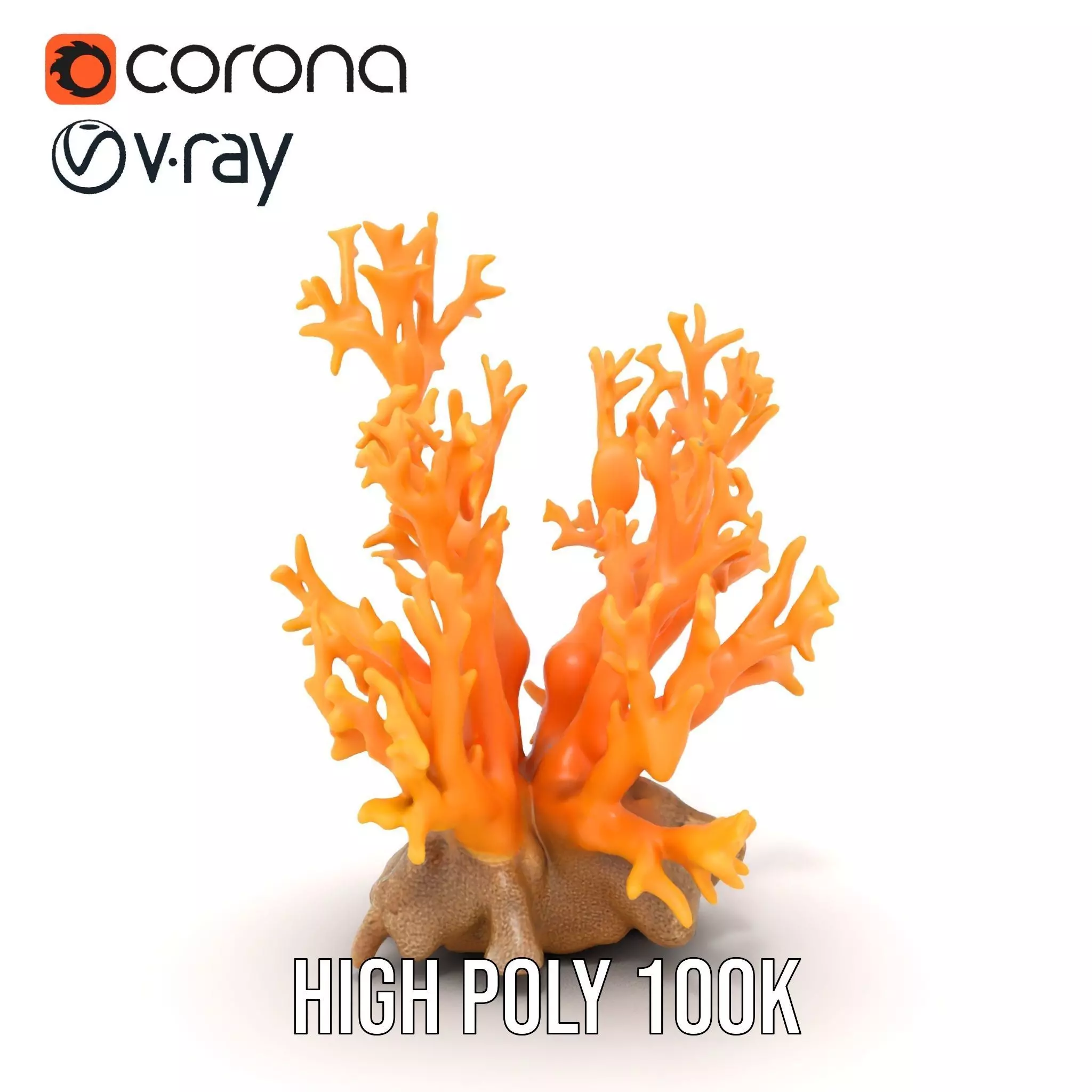 Vivid Coral Reef model pack Low-poly 3D model_15