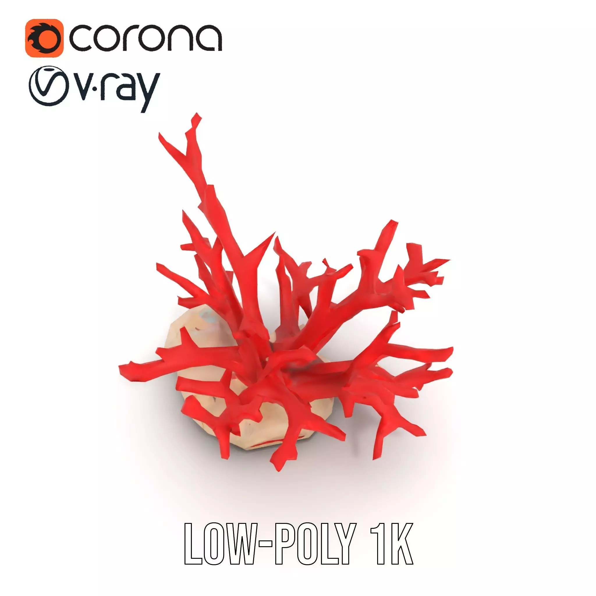 Vibrant Coral Reef model pack Low-poly 3D model_17