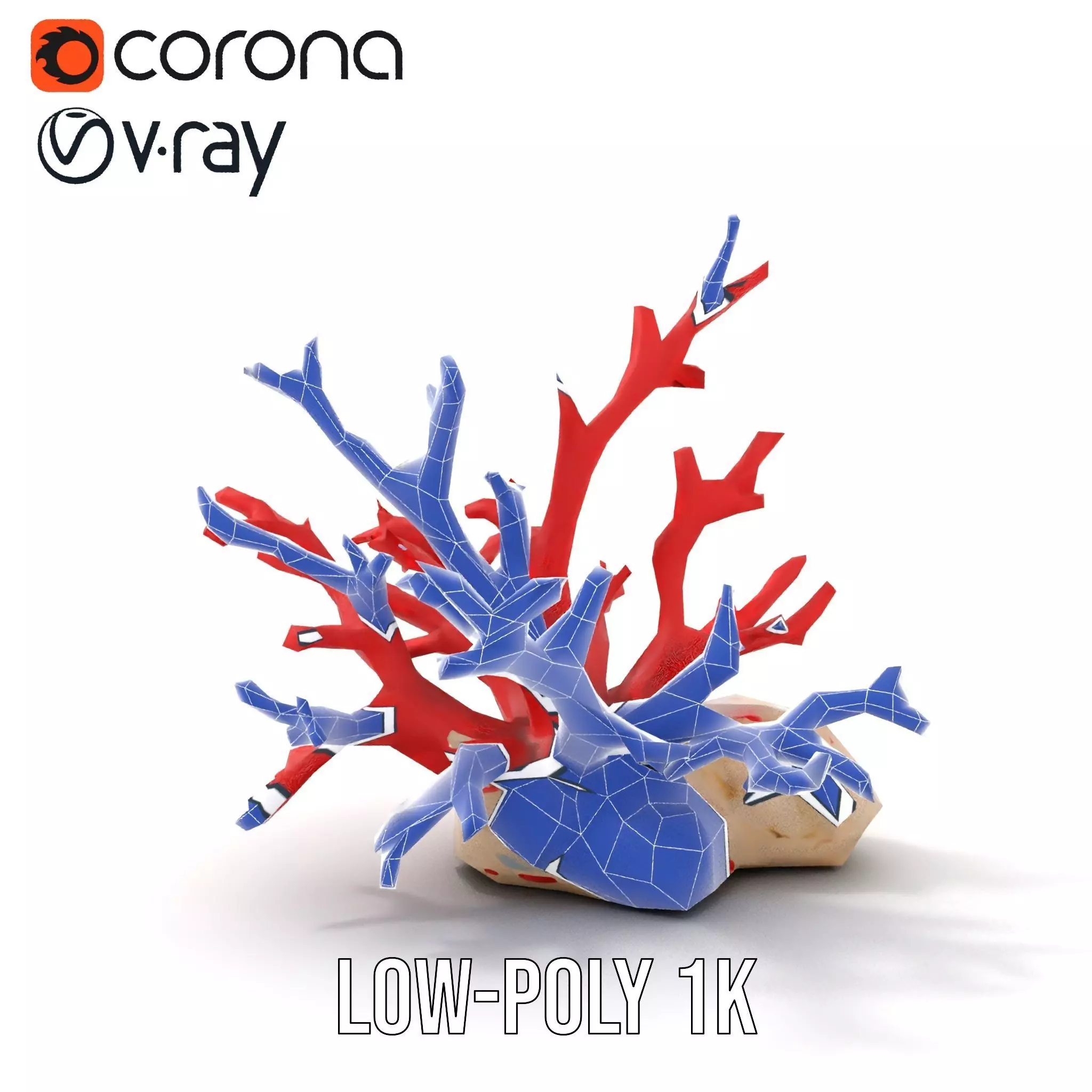Vibrant Coral Reef model pack Low-poly 3D model_25