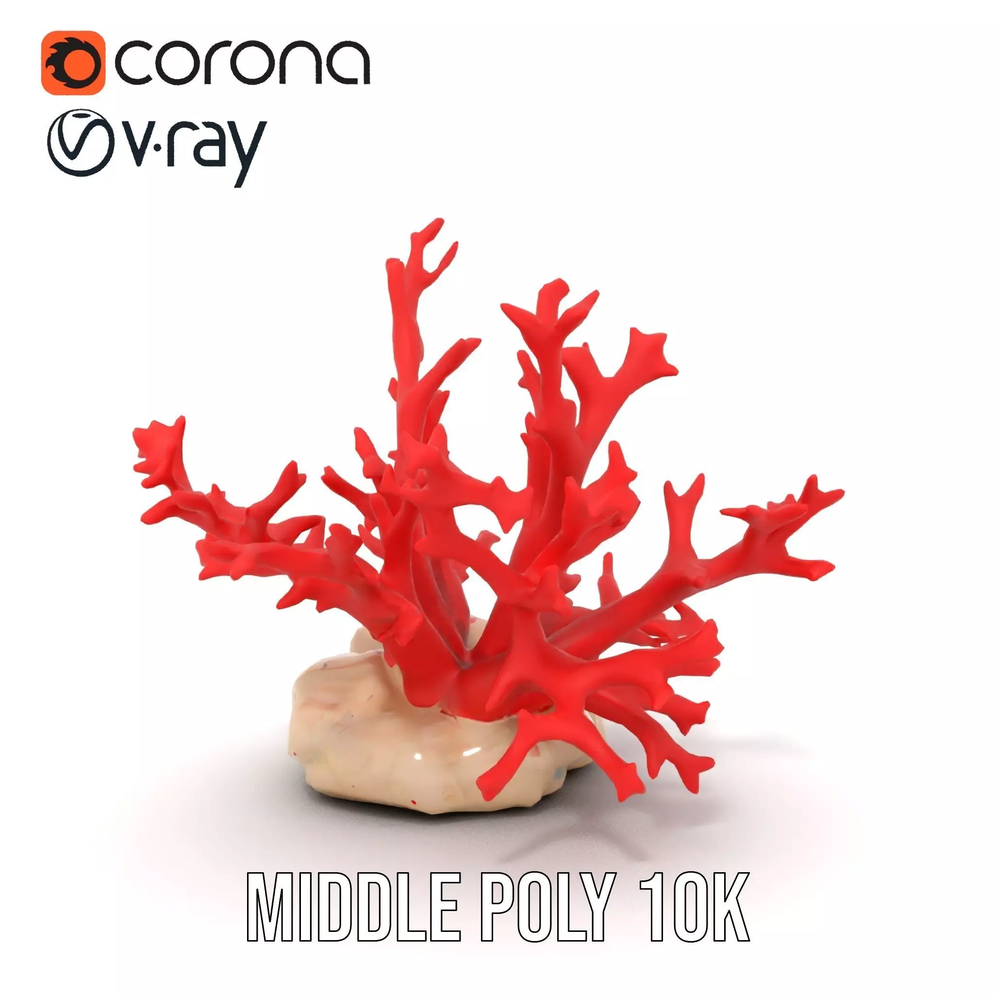 Vibrant Coral Reef model pack Low-poly 3D model_27