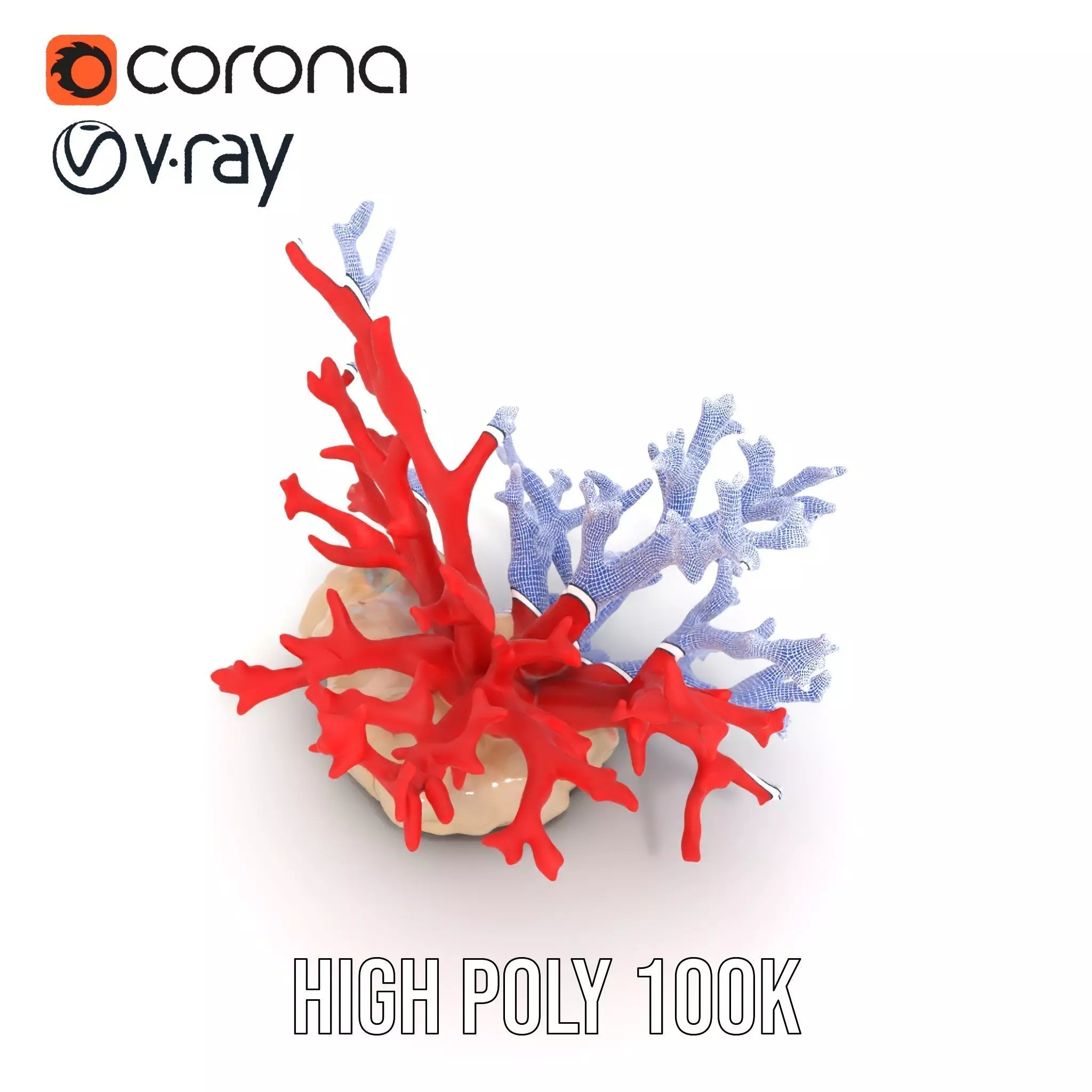Vibrant Coral Reef model pack Low-poly 3D model_32