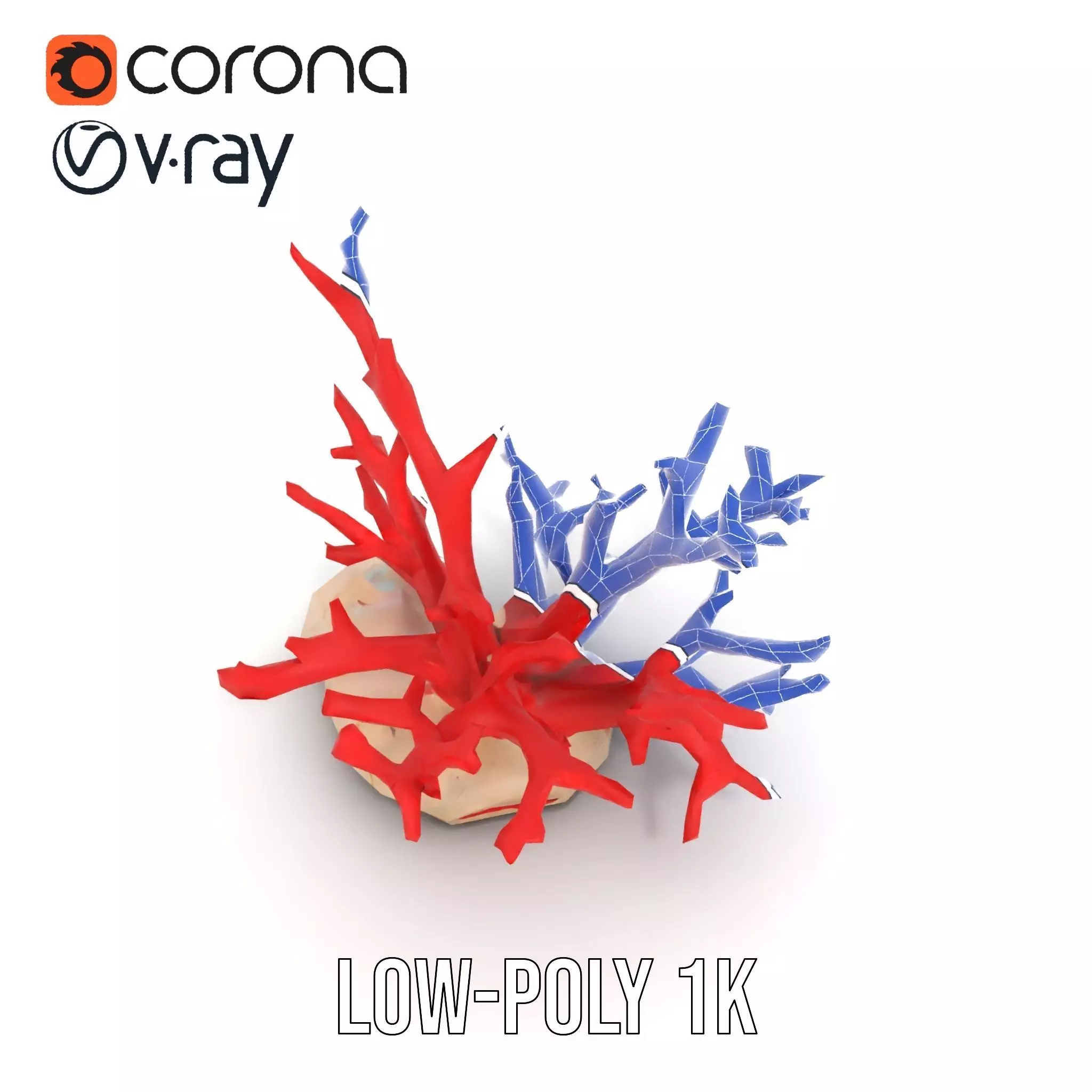 Vibrant Coral Reef model pack Low-poly 3D model_28