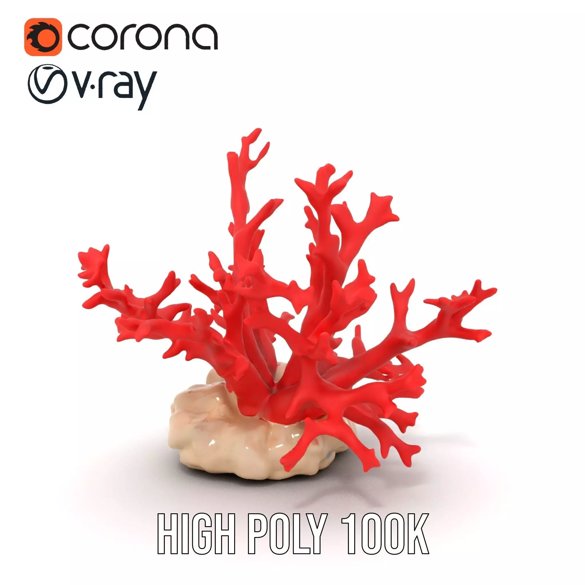 Vibrant Coral Reef model pack Low-poly 3D model_26