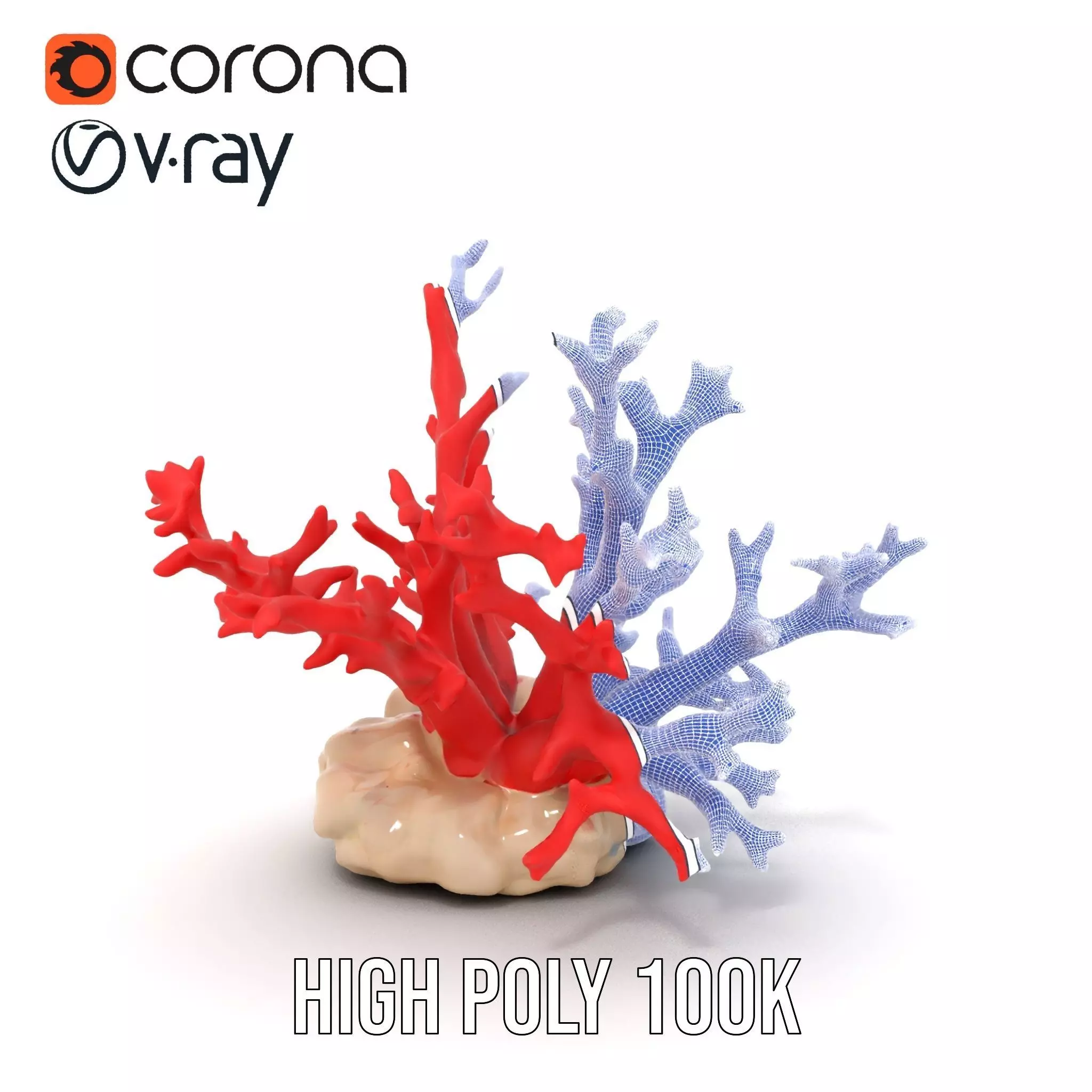 Vibrant Coral Reef model pack Low-poly 3D model_34