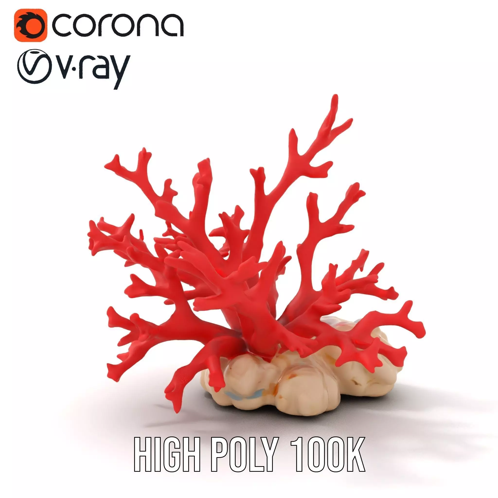 Vibrant Coral Reef model pack Low-poly 3D model_15