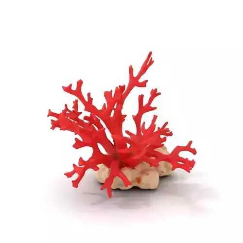 Vibrant Coral Reef model pack Low-poly 3D model