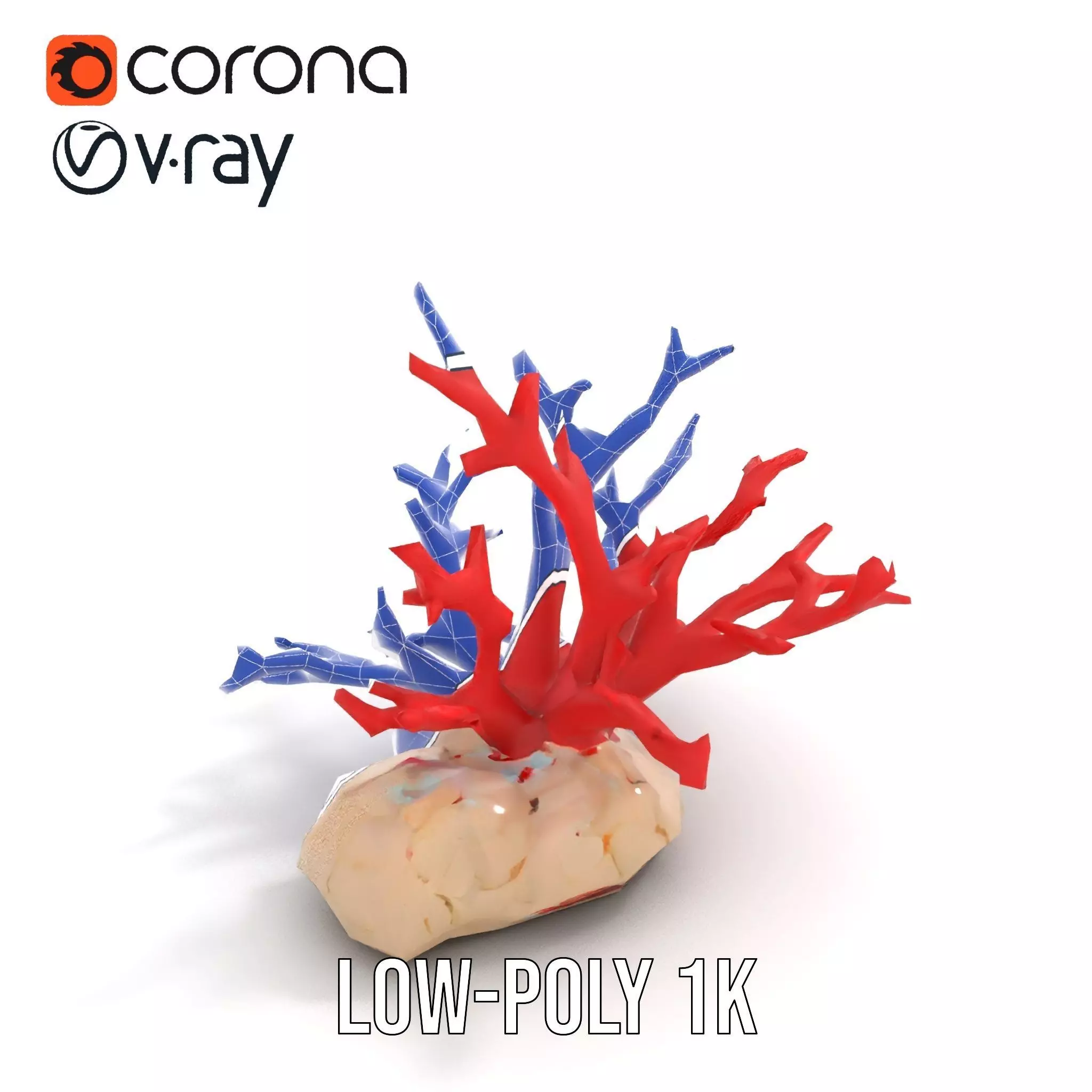 Vibrant Coral Reef model pack Low-poly 3D model_19