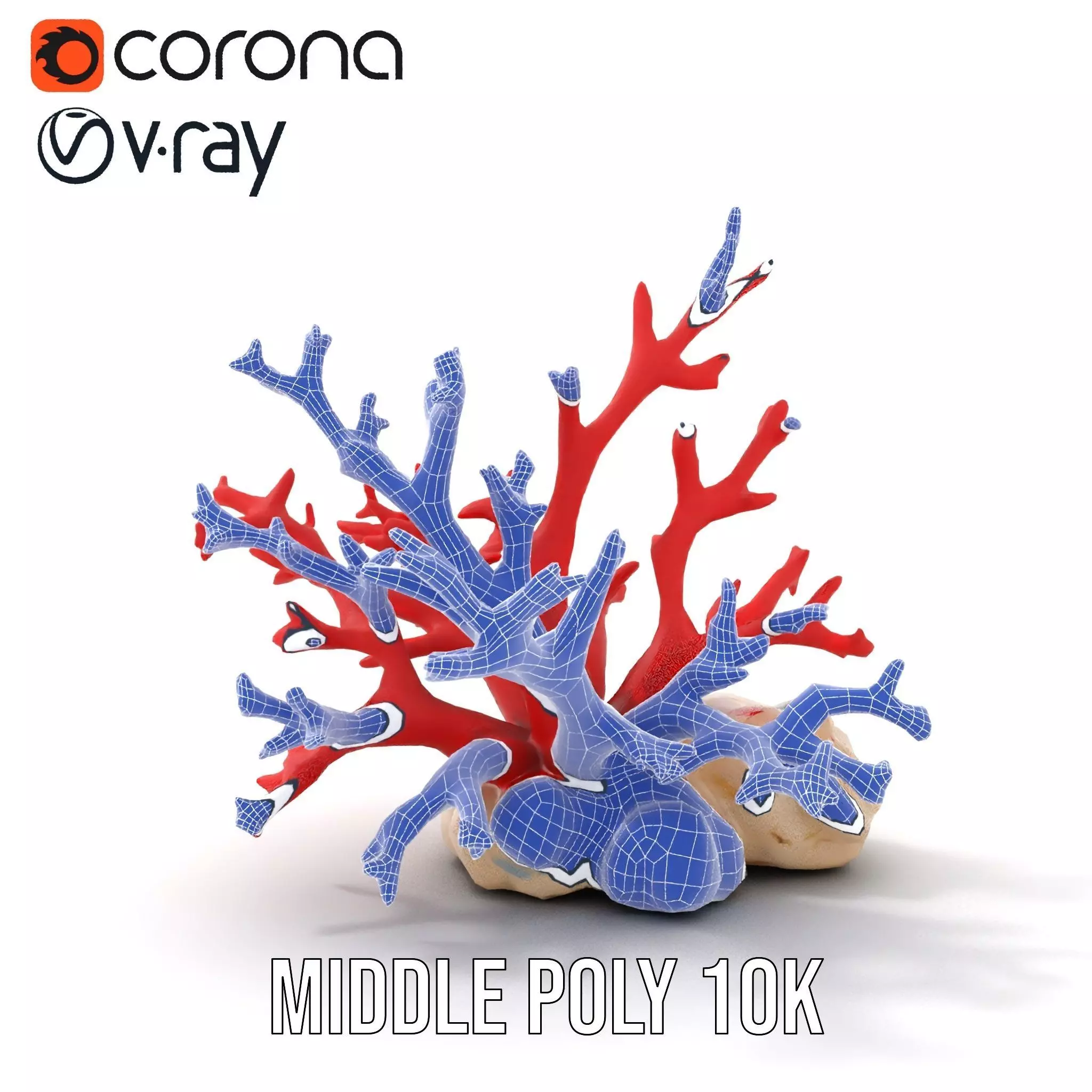 Vibrant Coral Reef model pack Low-poly 3D model_30