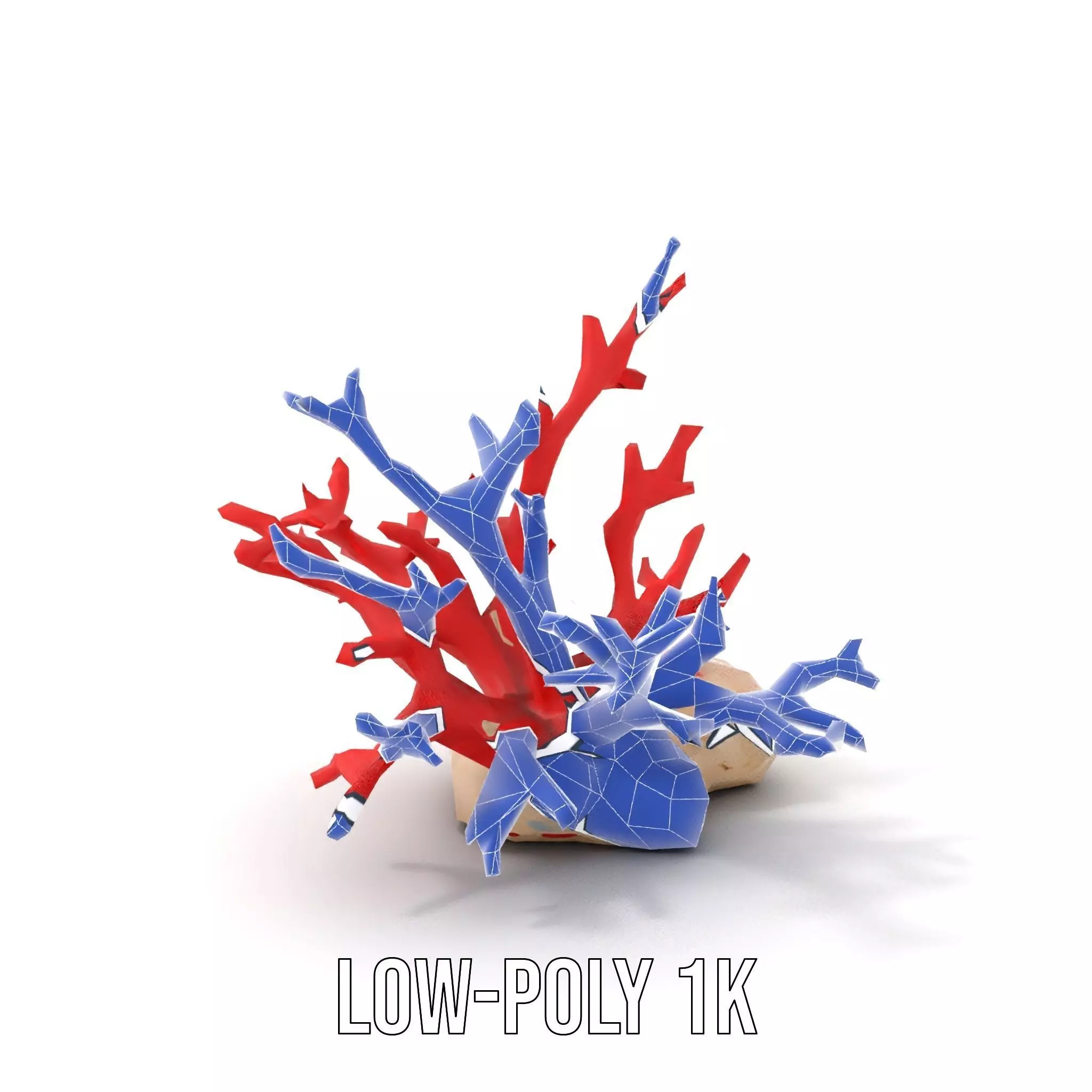 Vibrant Coral Reef model pack Low-poly 3D model_22