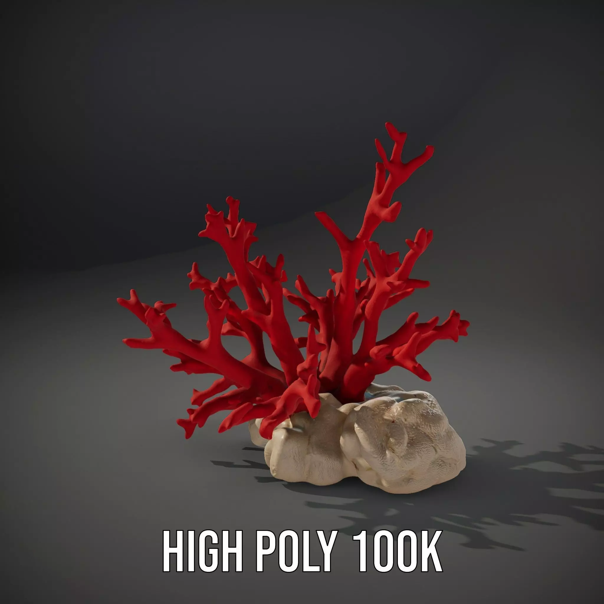 Vibrant Coral Reef model pack Low-poly 3D model_10