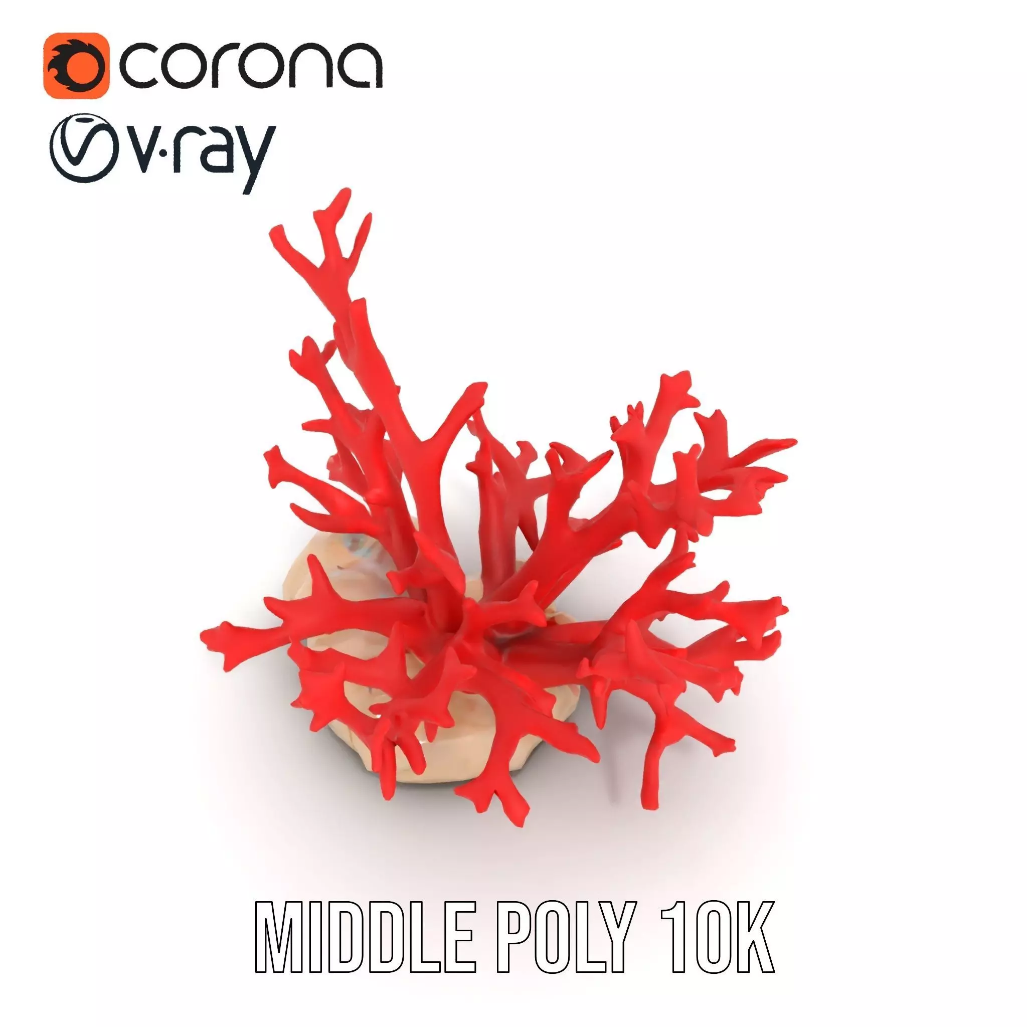Vibrant Coral Reef model pack Low-poly 3D model_11