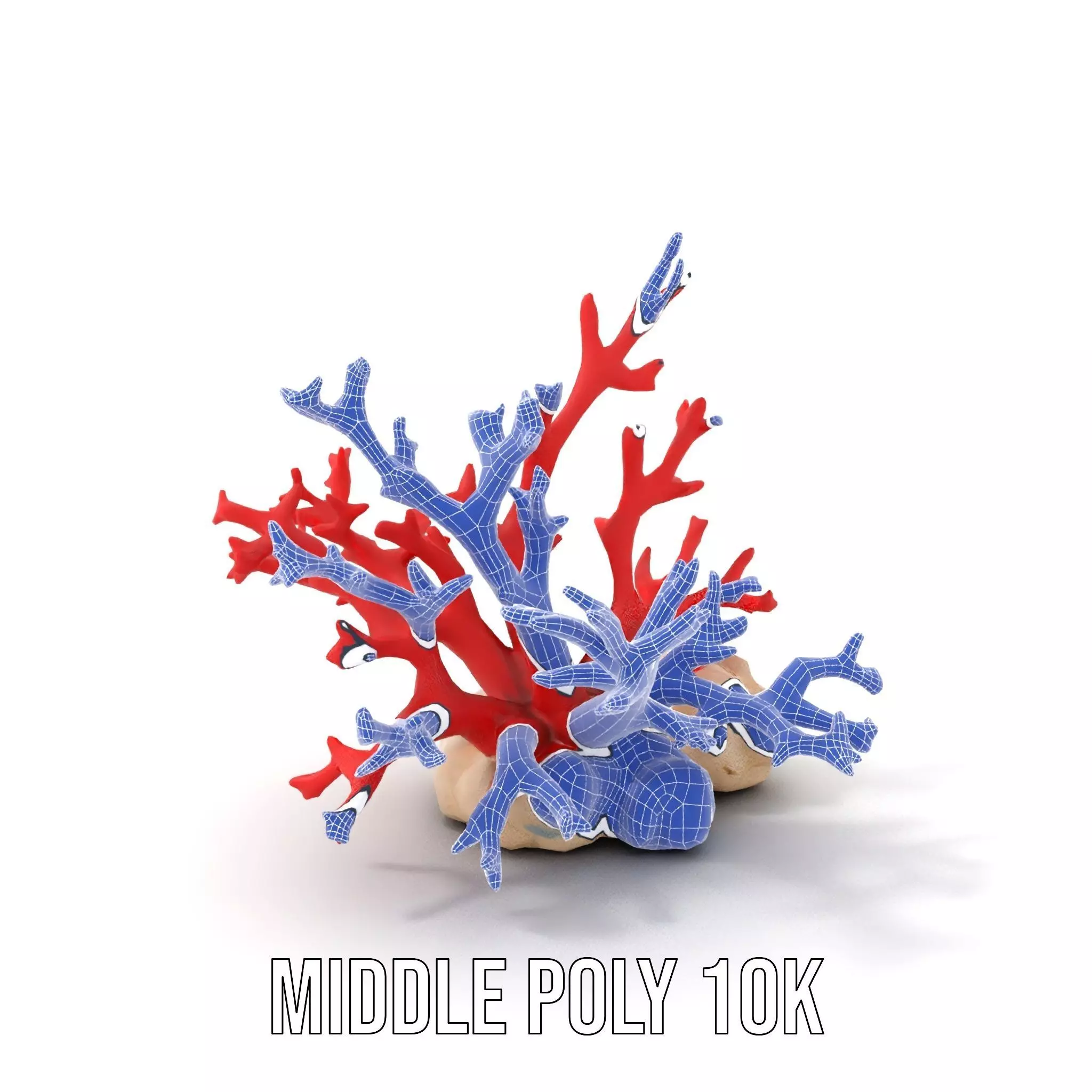 Vibrant Coral Reef model pack Low-poly 3D model_24