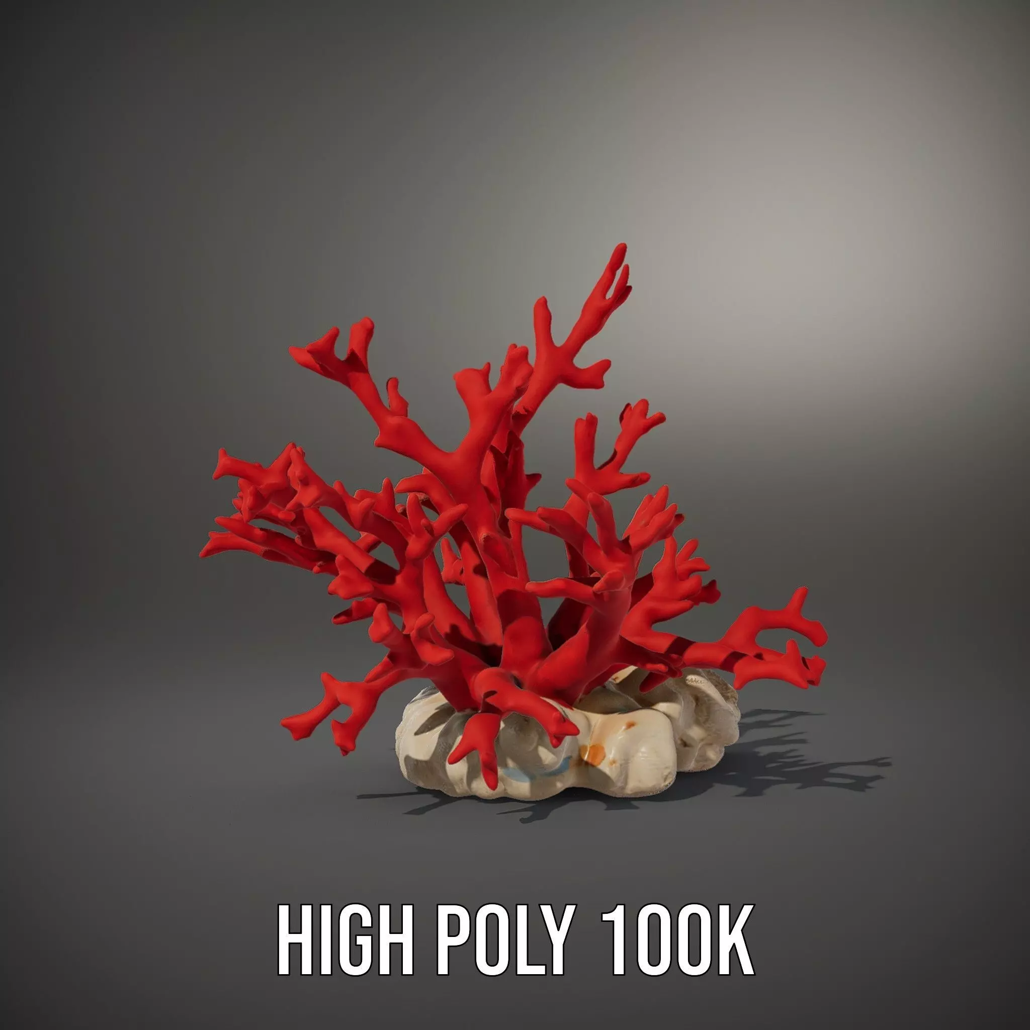 Vibrant Coral Reef model pack Low-poly 3D model_8